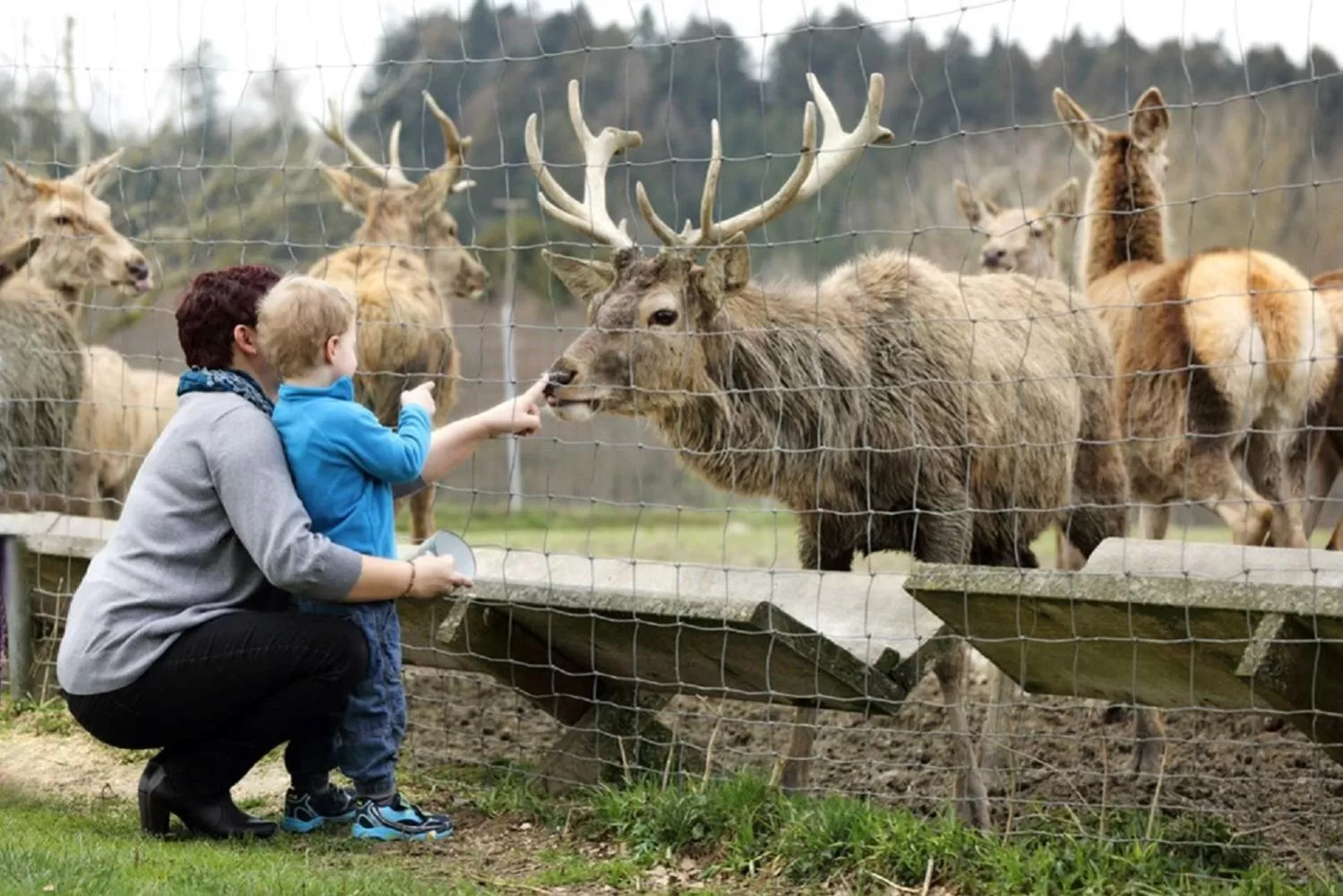 Garden in Schätzlhof OHG