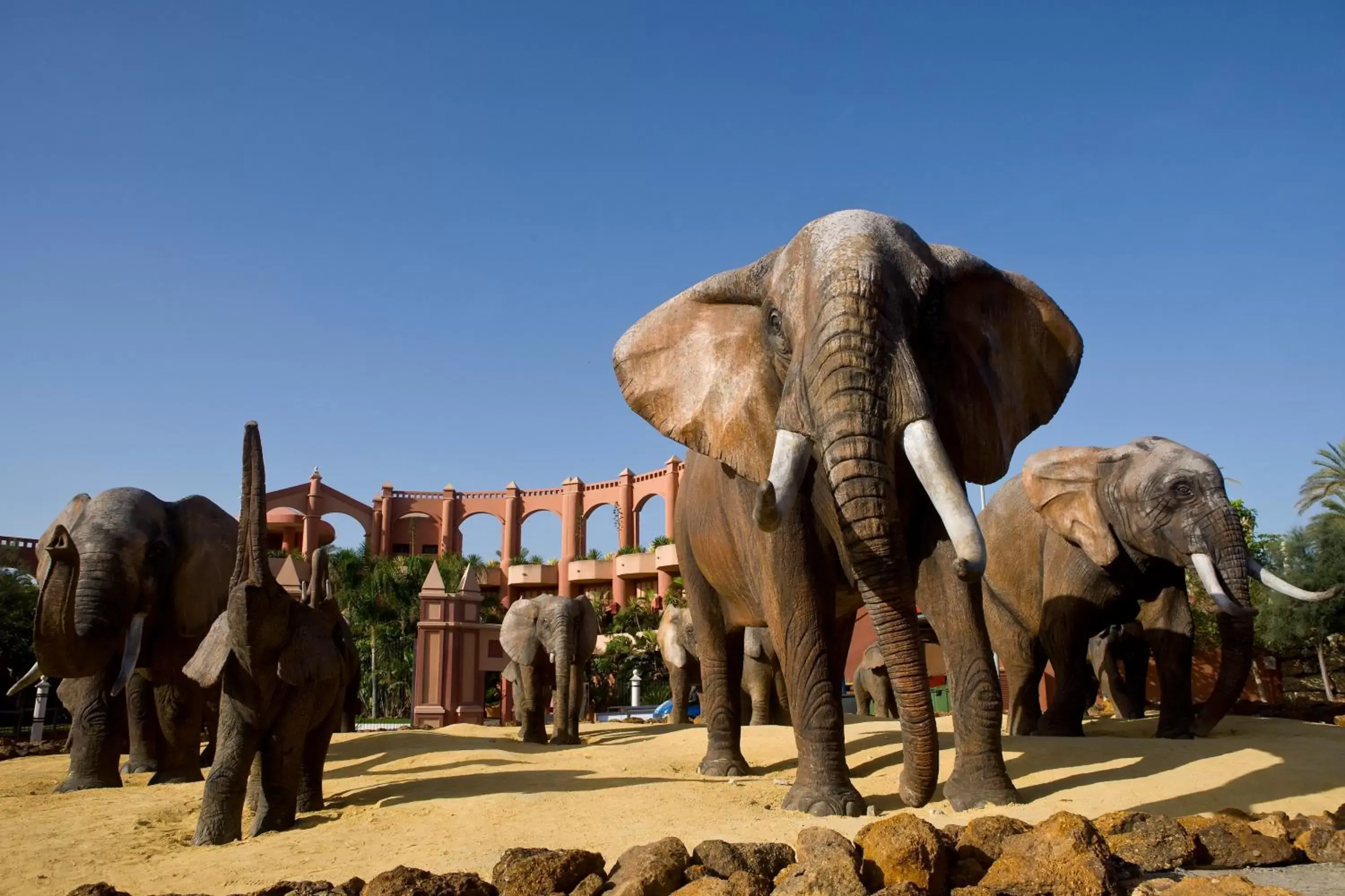 Landmark view, Other Animals in Holiday World Resort