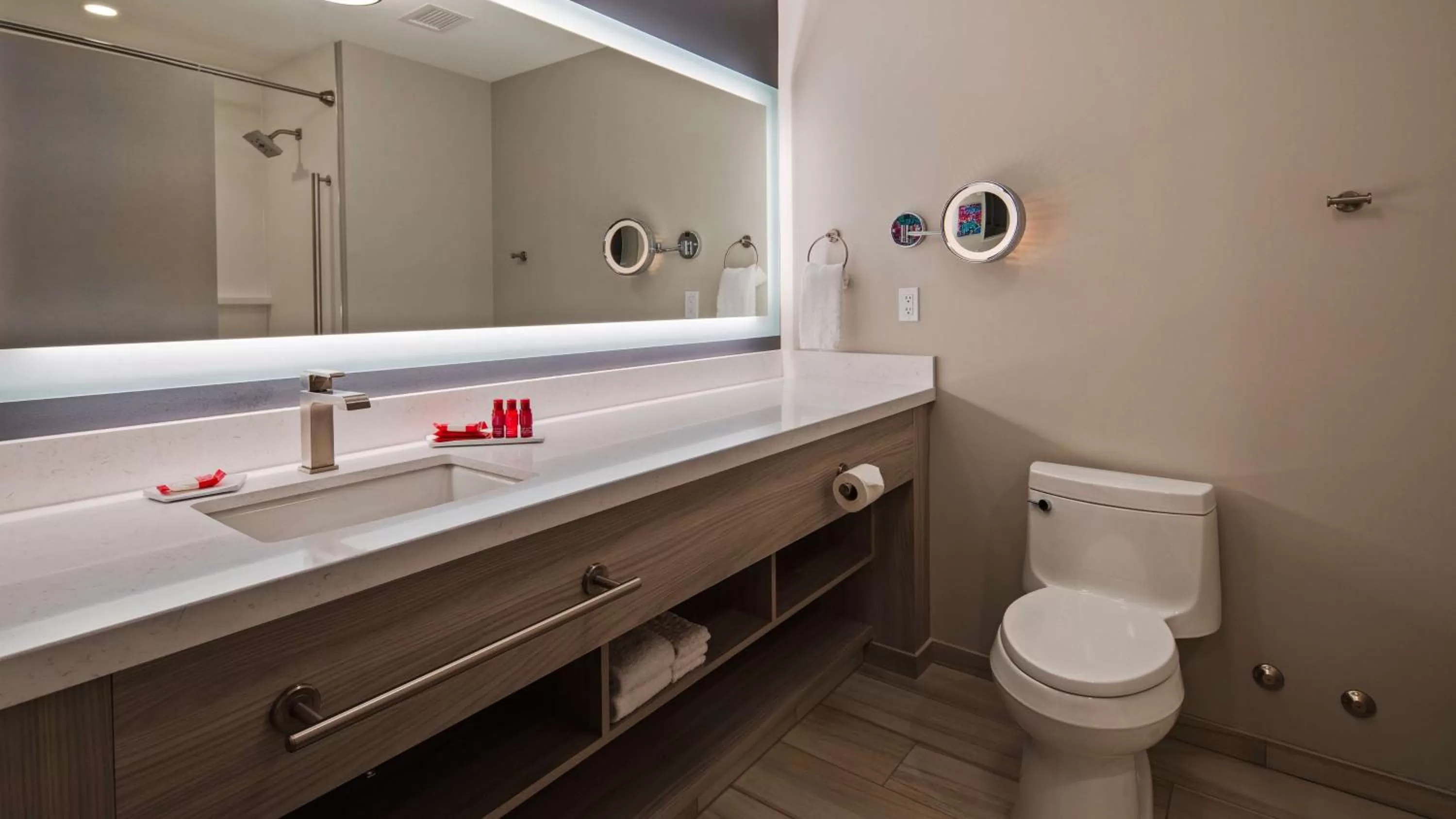 Bathroom in Best Western Premier Winnipeg East