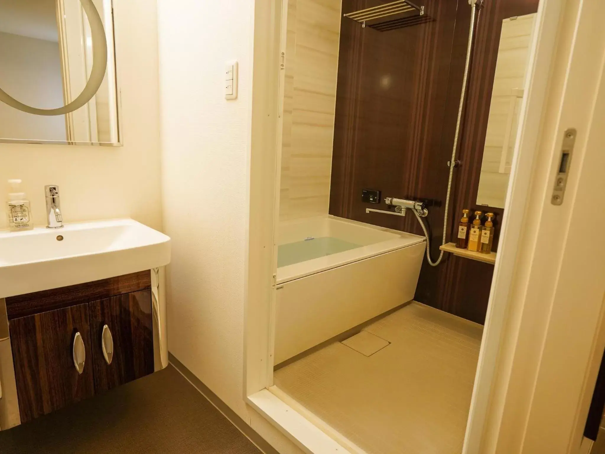 Photo of the whole room, Bathroom in Hotel New Gaea Domemae