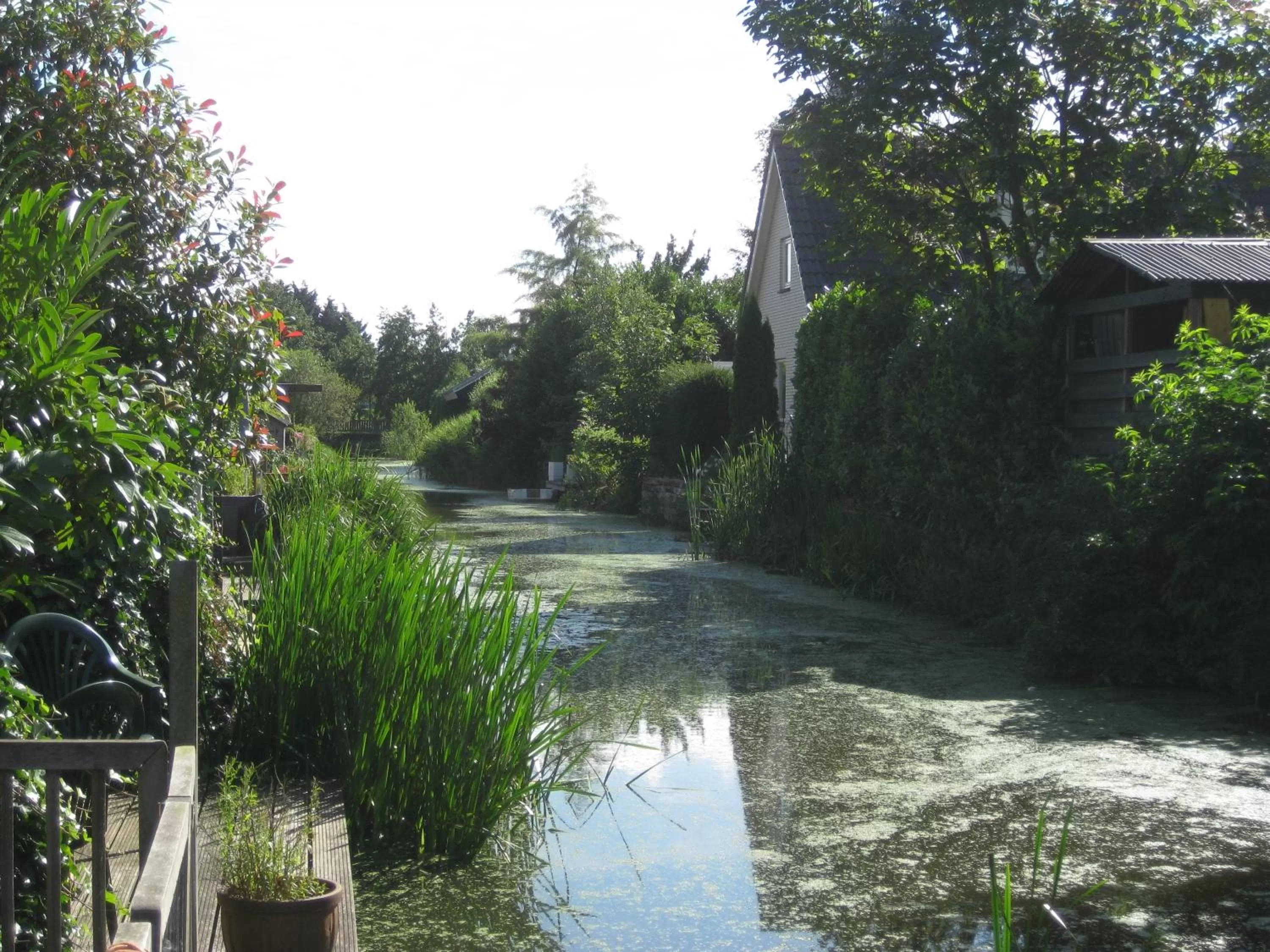 View (from property/room) in Quarenta Studio