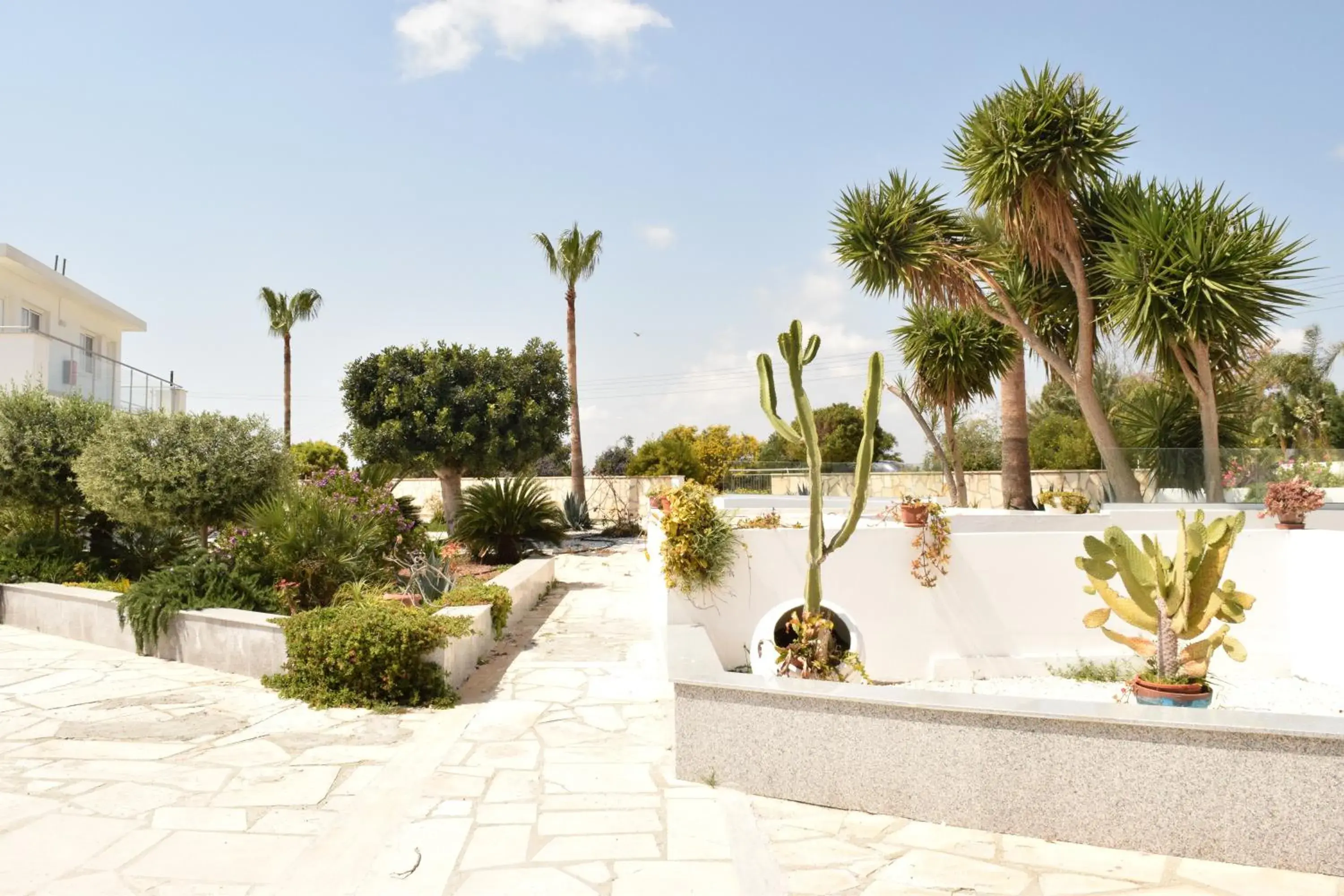 Garden in Fedrania Gardens Hotel