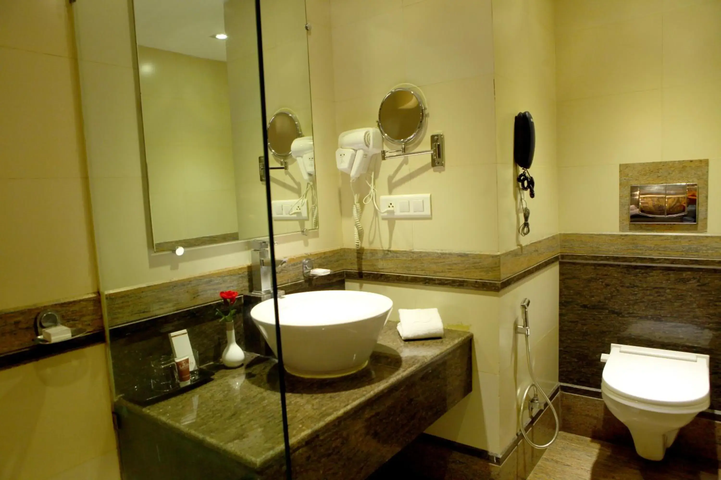 Bathroom in Lords Plaza Surat