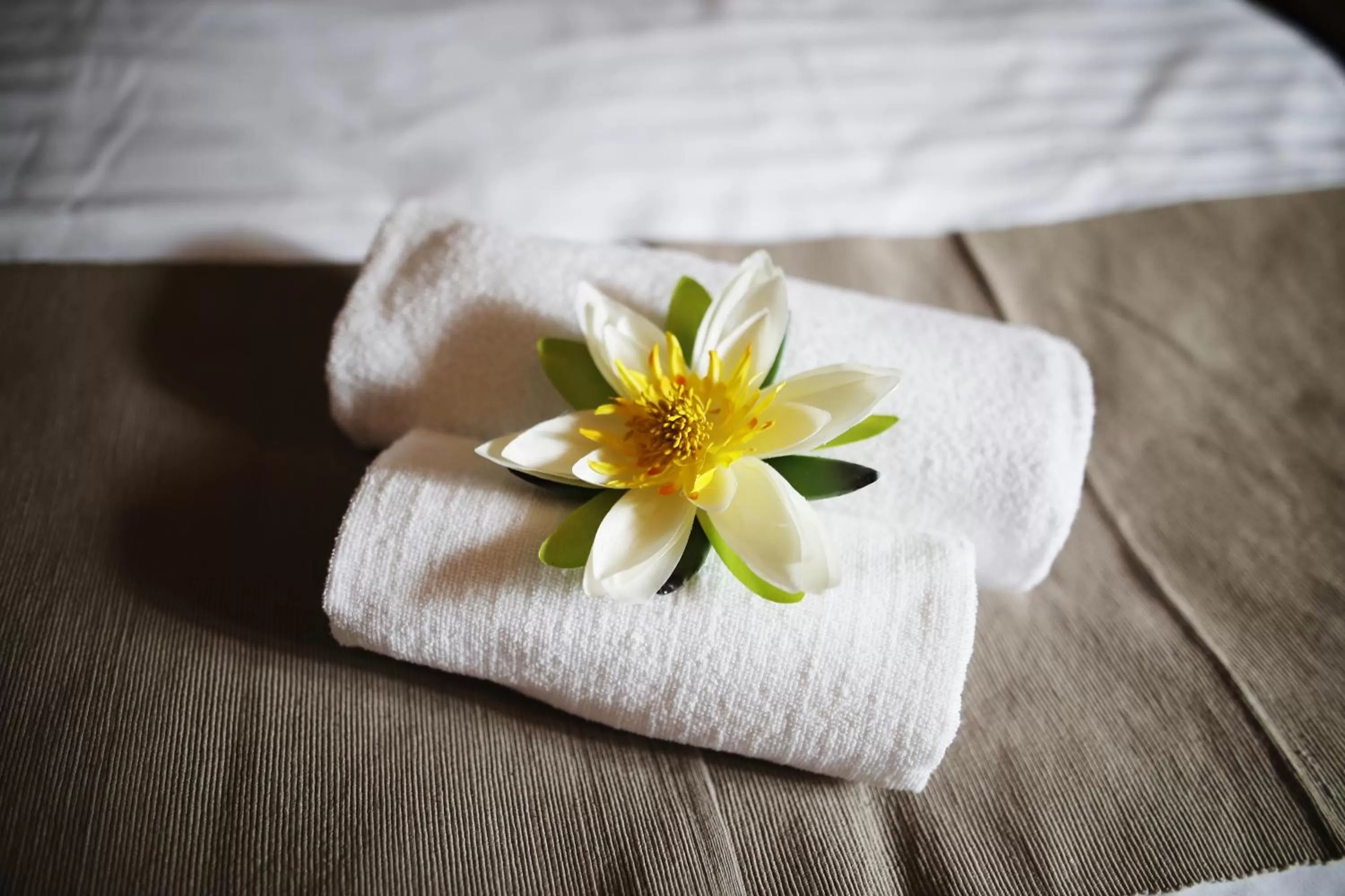 Bed in Hotel Farma Vysoká