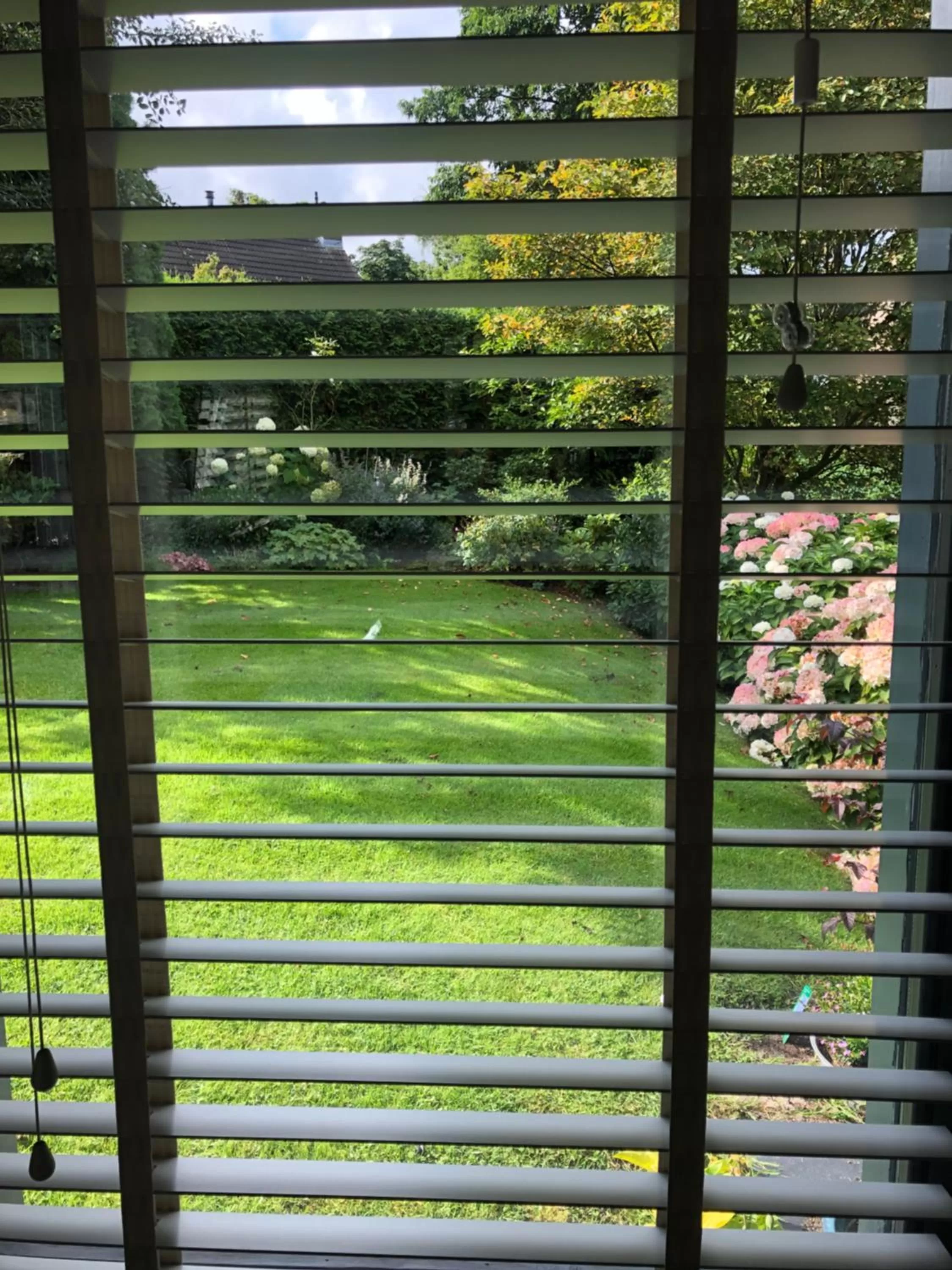 View (from property/room) in Tiny House Boatshed