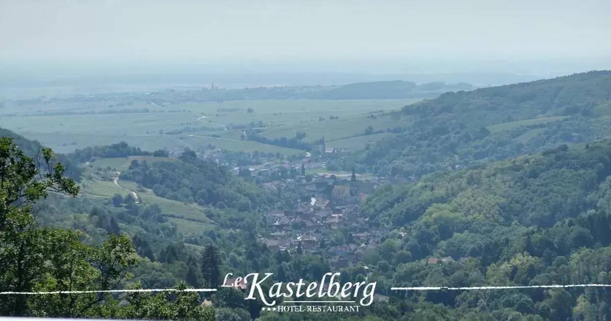 Natural landscape in Hôtel Restaurant Le Kastelberg, The Originals Boutique