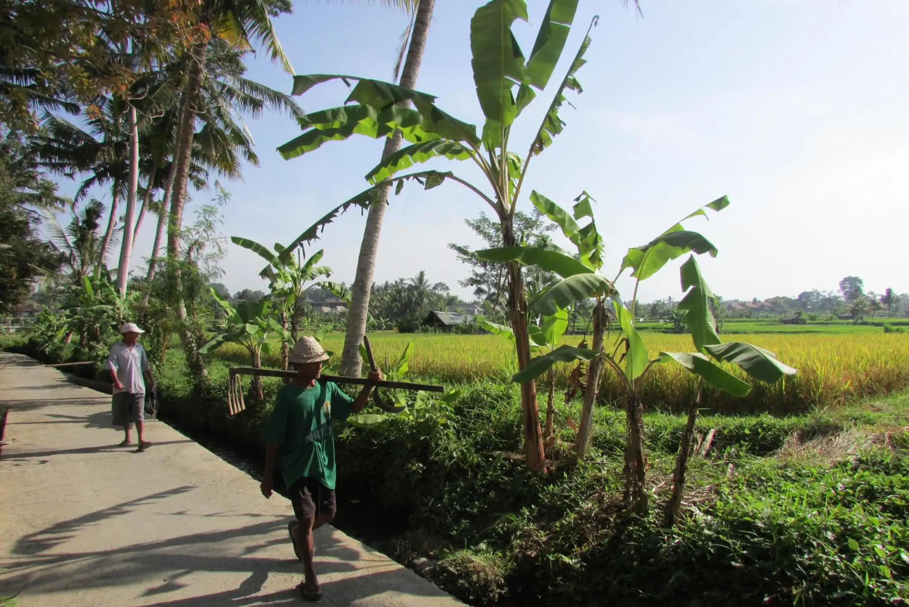 People in Temuku Villas Ubud - CHSE Certified