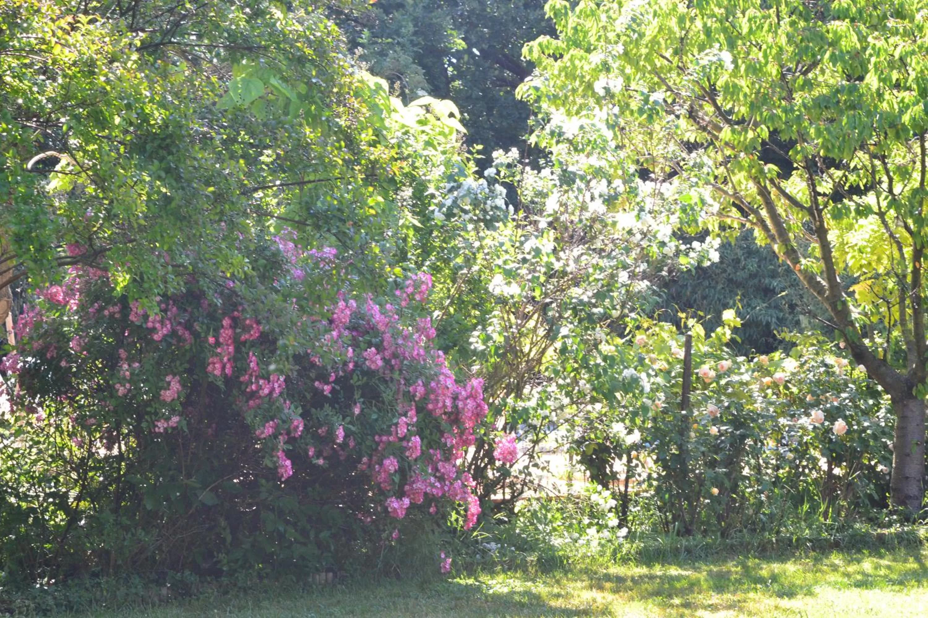 Property building, Garden in Le Pavillon Vert - B&B