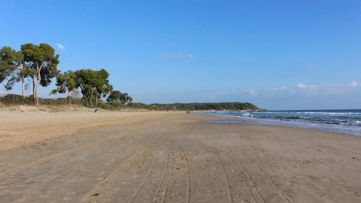 Beach in Hostal 977