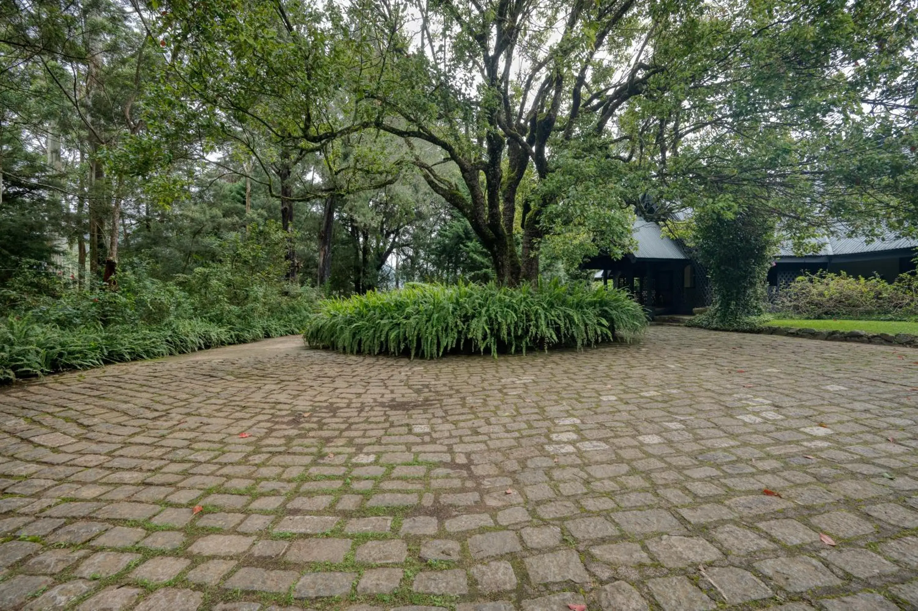 Garden in Ferncliff Bungalow