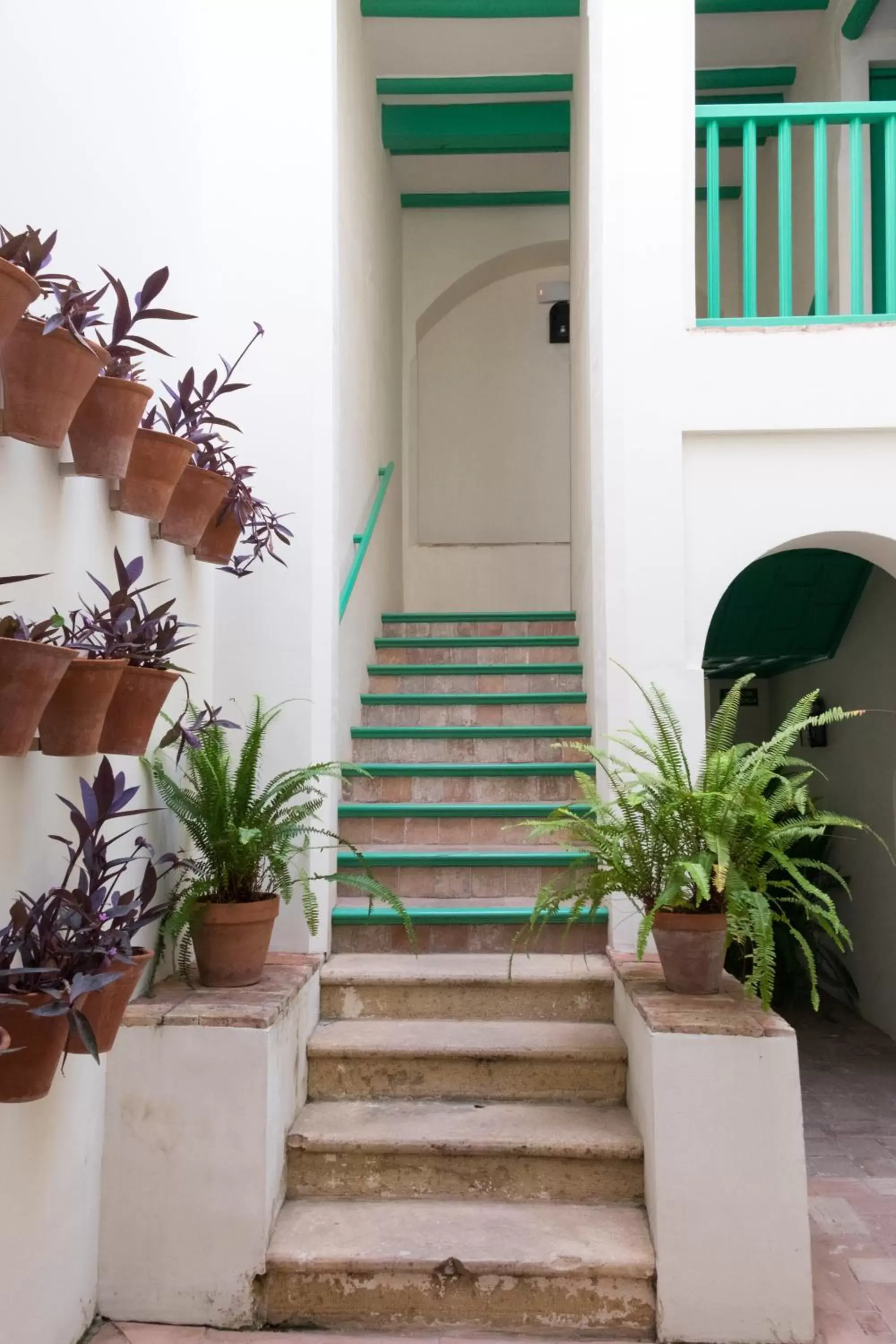 Patio, Facade/Entrance in Las Casas de la Judería de Córdoba