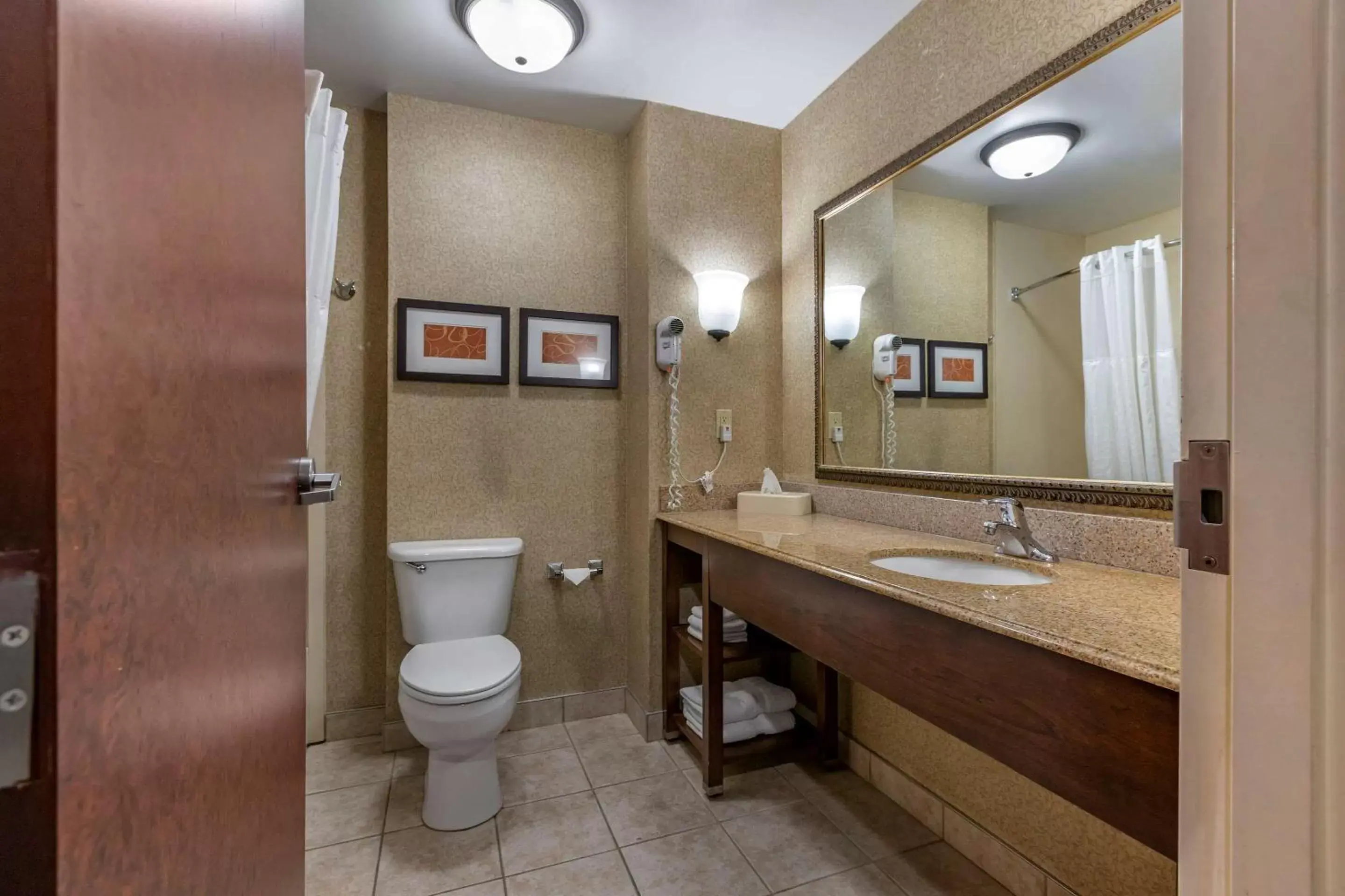 Photo of the whole room, Bathroom in Comfort Suites Grand Rapids South