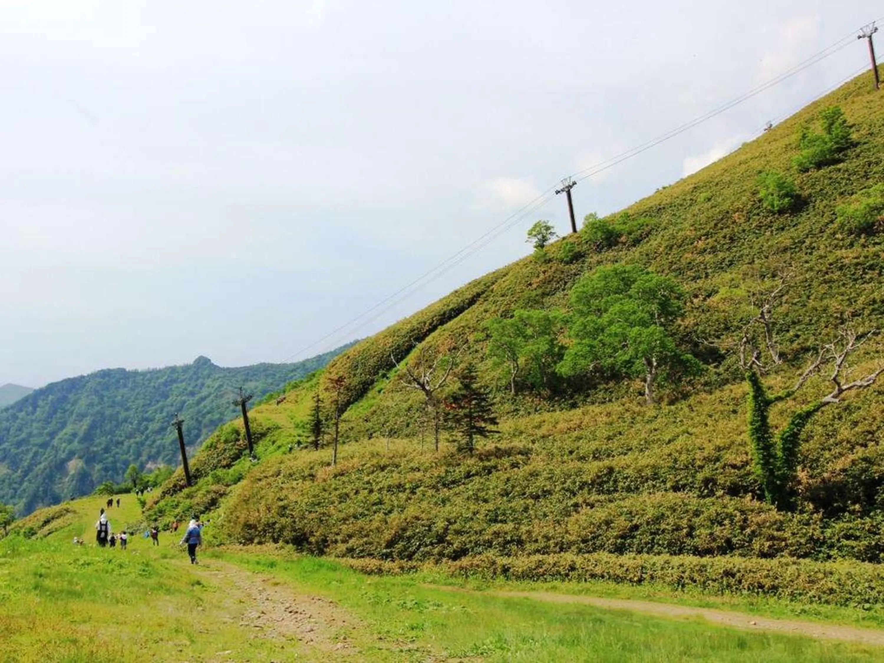 Natural landscape in Naeba Prince Hotel