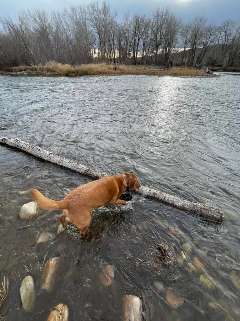 Sportsman Lodge Melrose MT