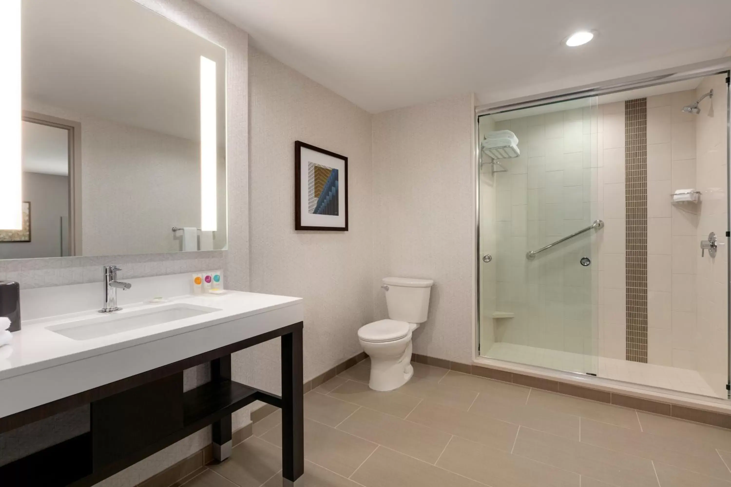 Shower, Bathroom in Hyatt Place Fort Lee/George Washington Bridge