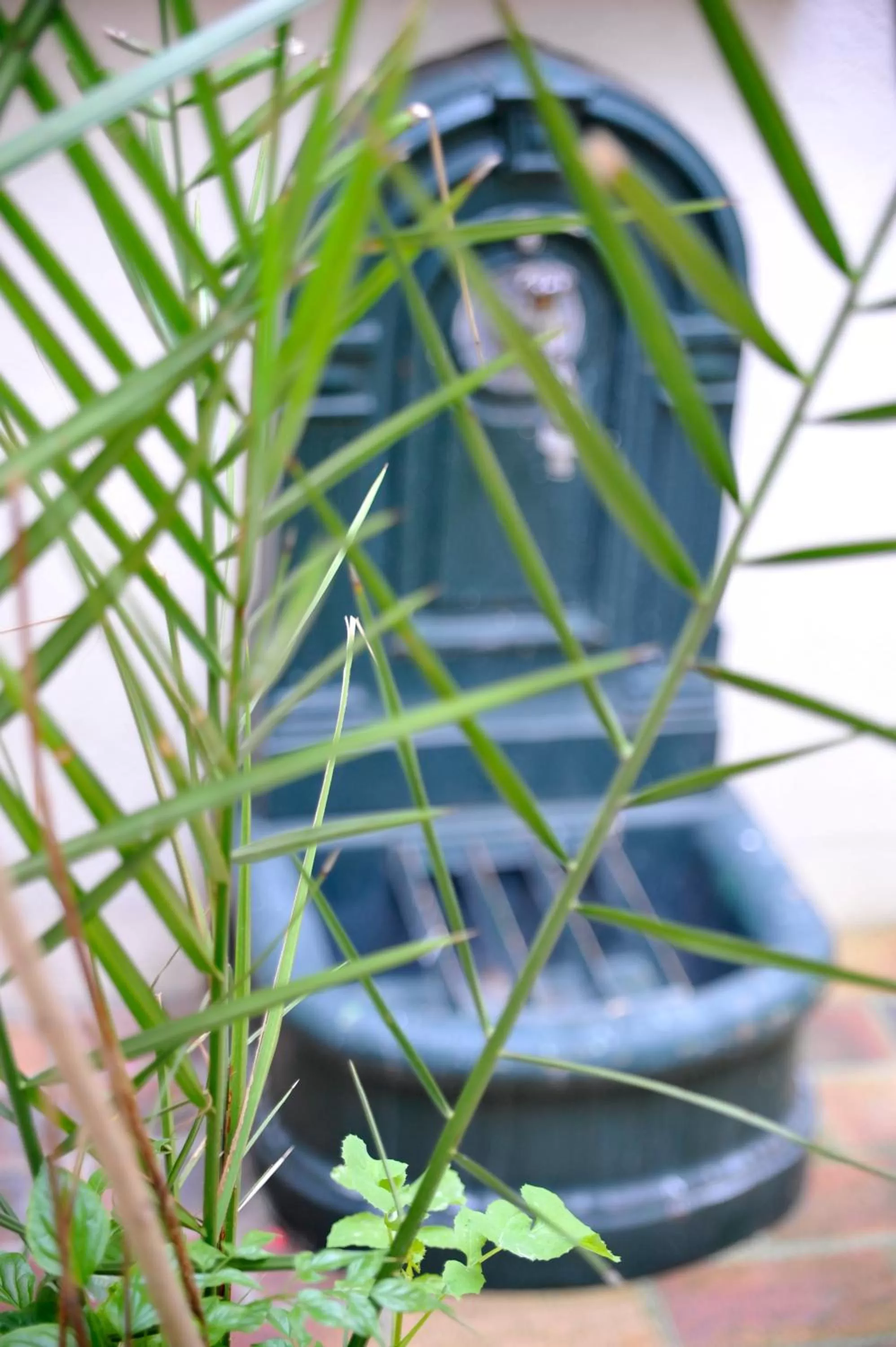 Garden in HOTEL DE PARIS MONTPARNASSE