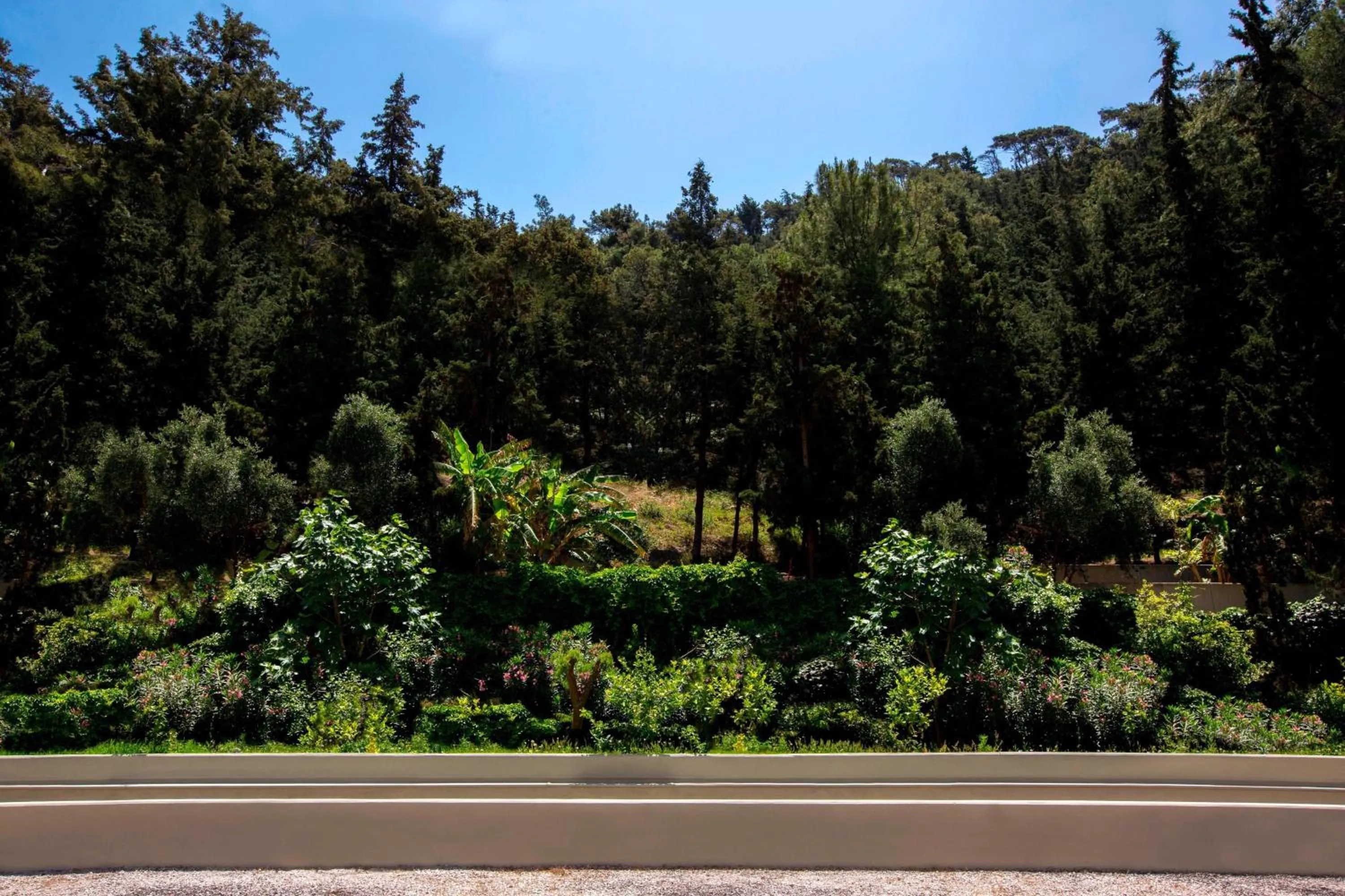 Photo of the whole room in Sheraton Rhodes Resort