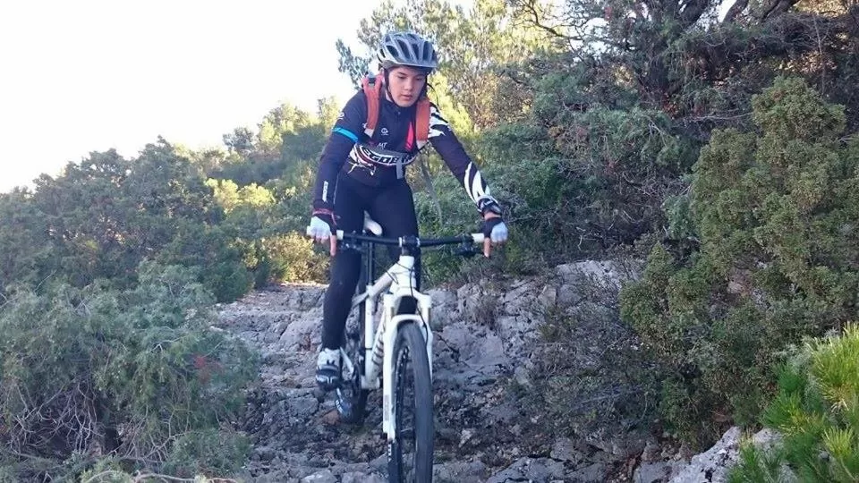 Cycling, Horseback Riding in Chambres d'Hôtes Aux Tournesols