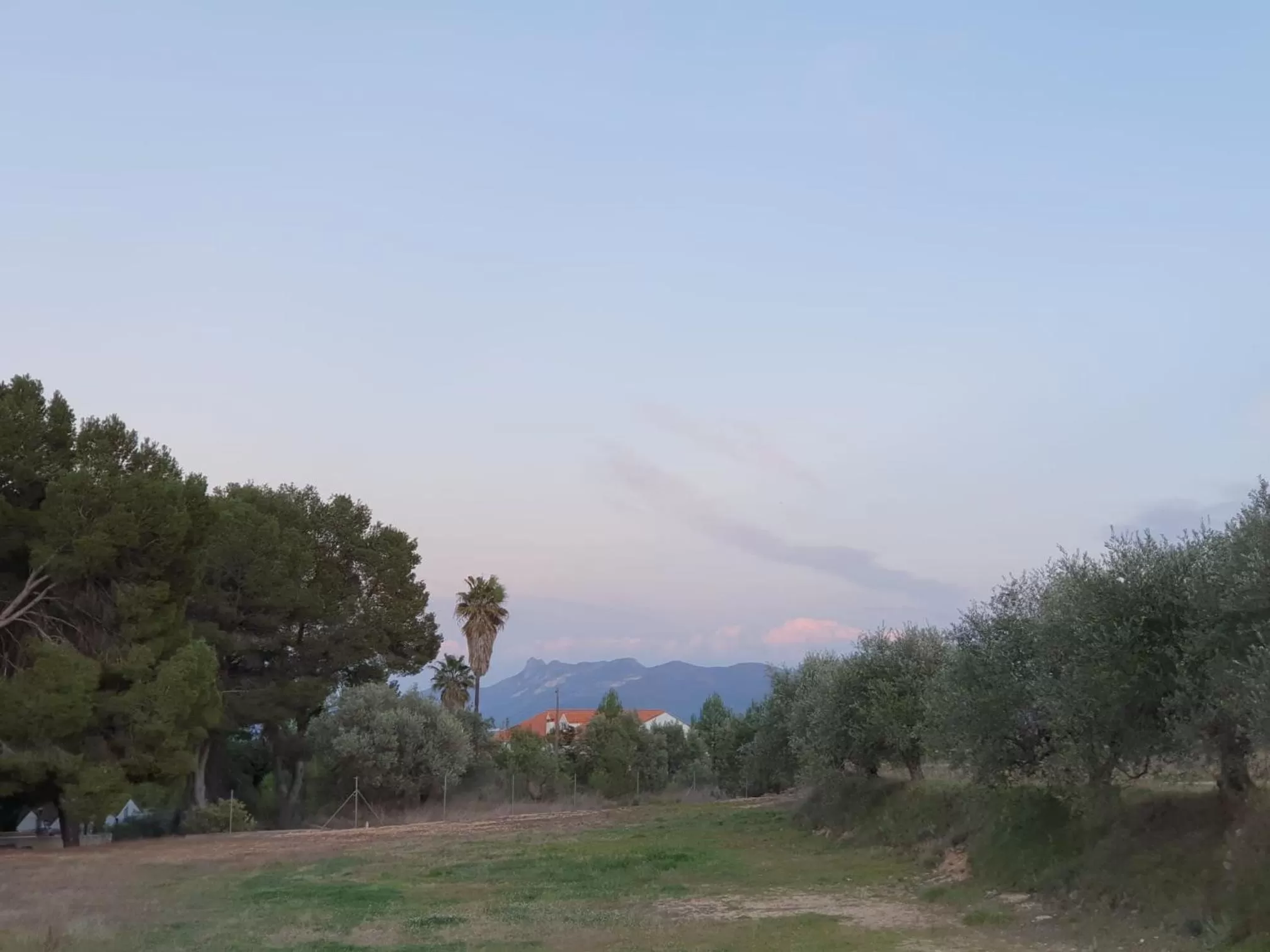 Garden in Finca La Higuera - Boutique B&B