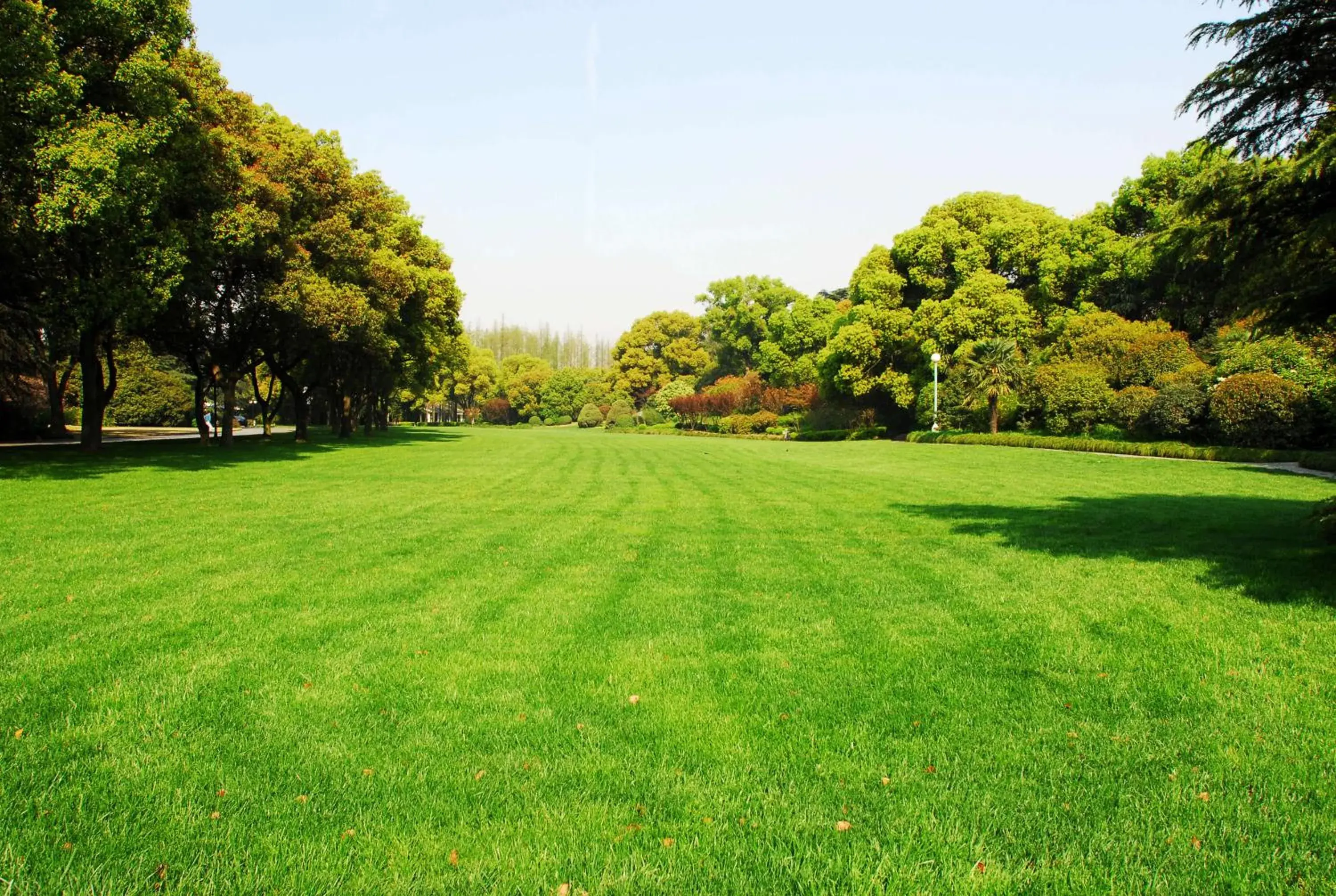 Garden in Xijiao State Guest Hotel