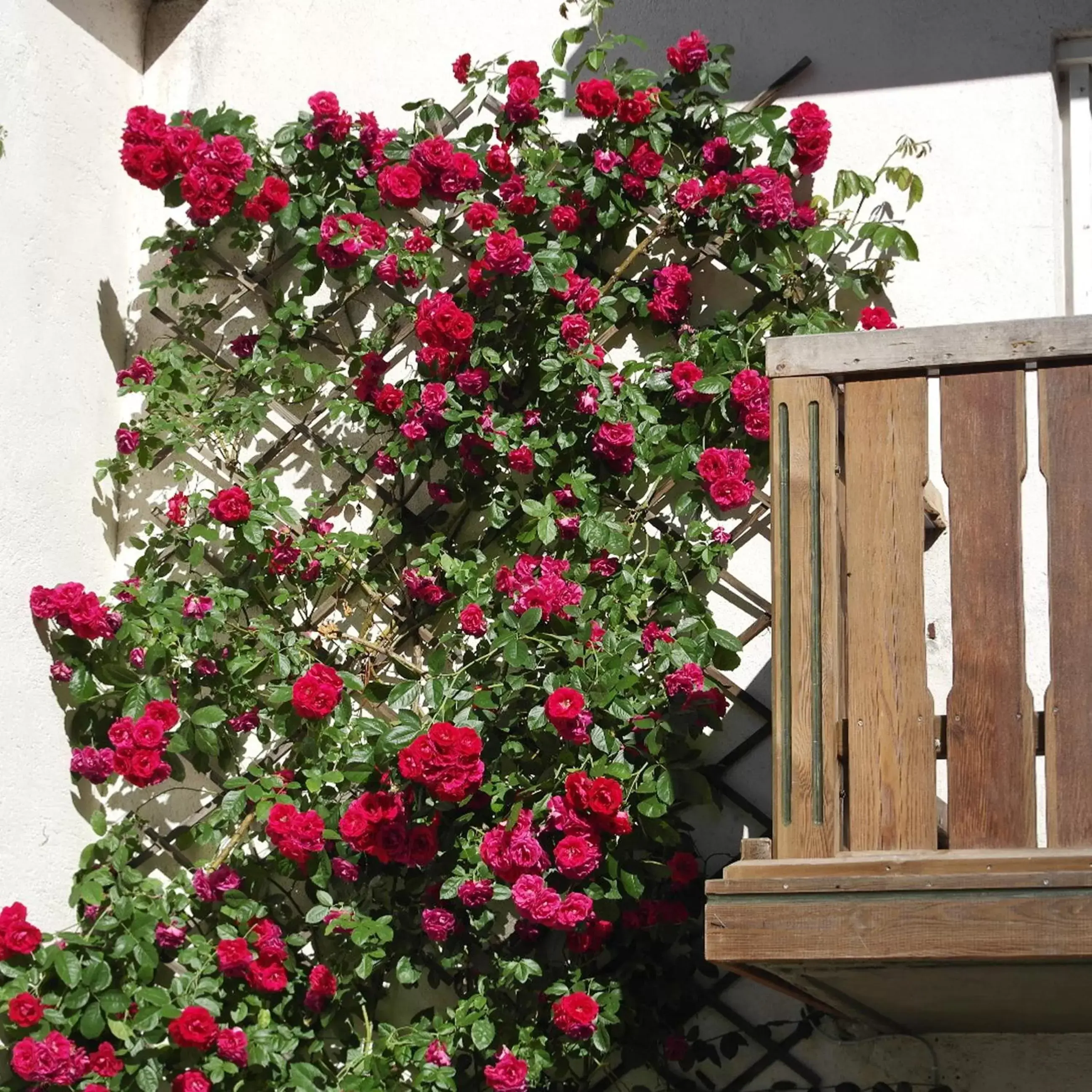 Junior Suite with Balcony in Landhaus Waldfrieden Junior Suite with Balcony in Landhaus Waldfrieden
