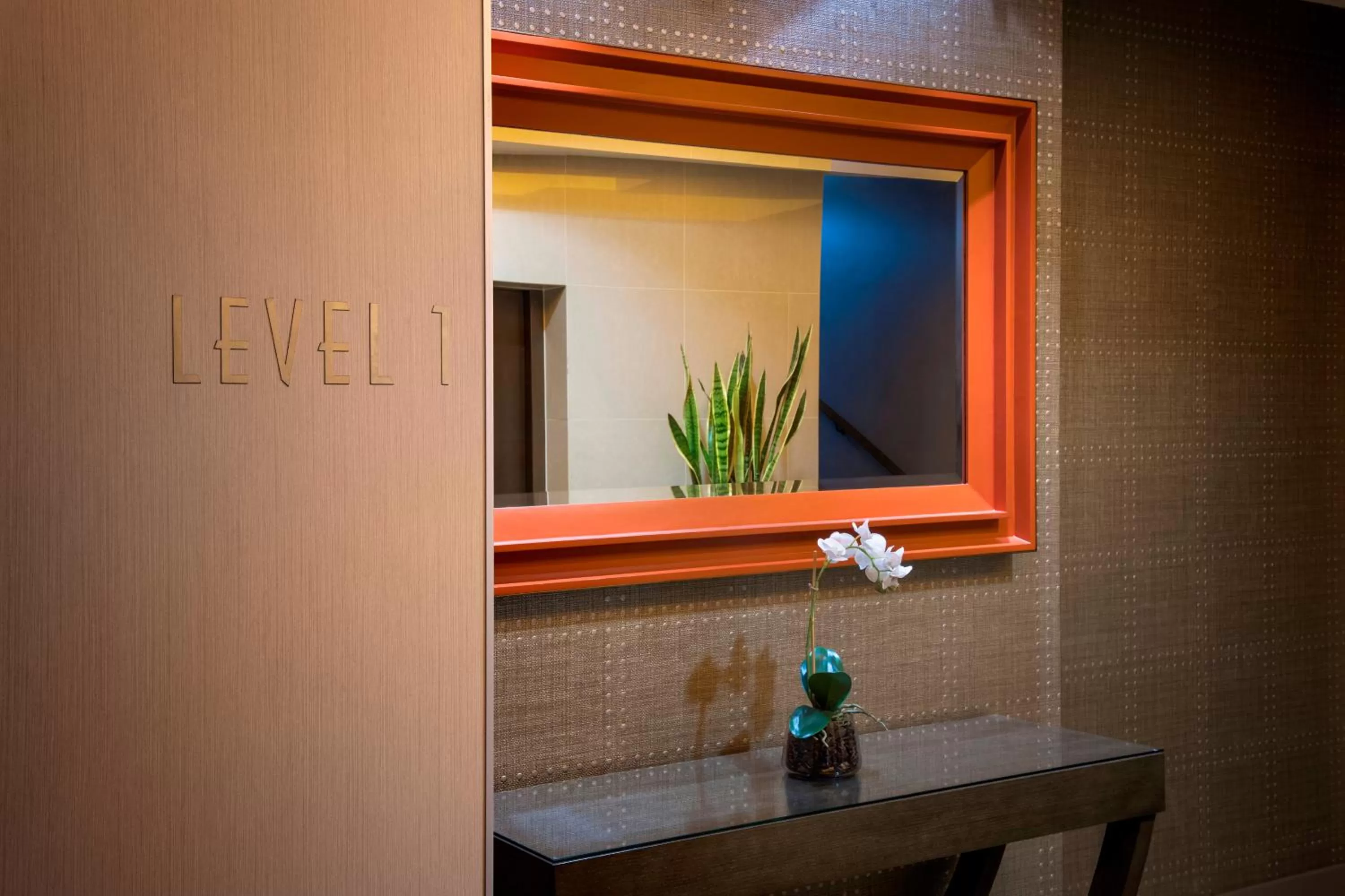 Area and facilities in Miller Apartments