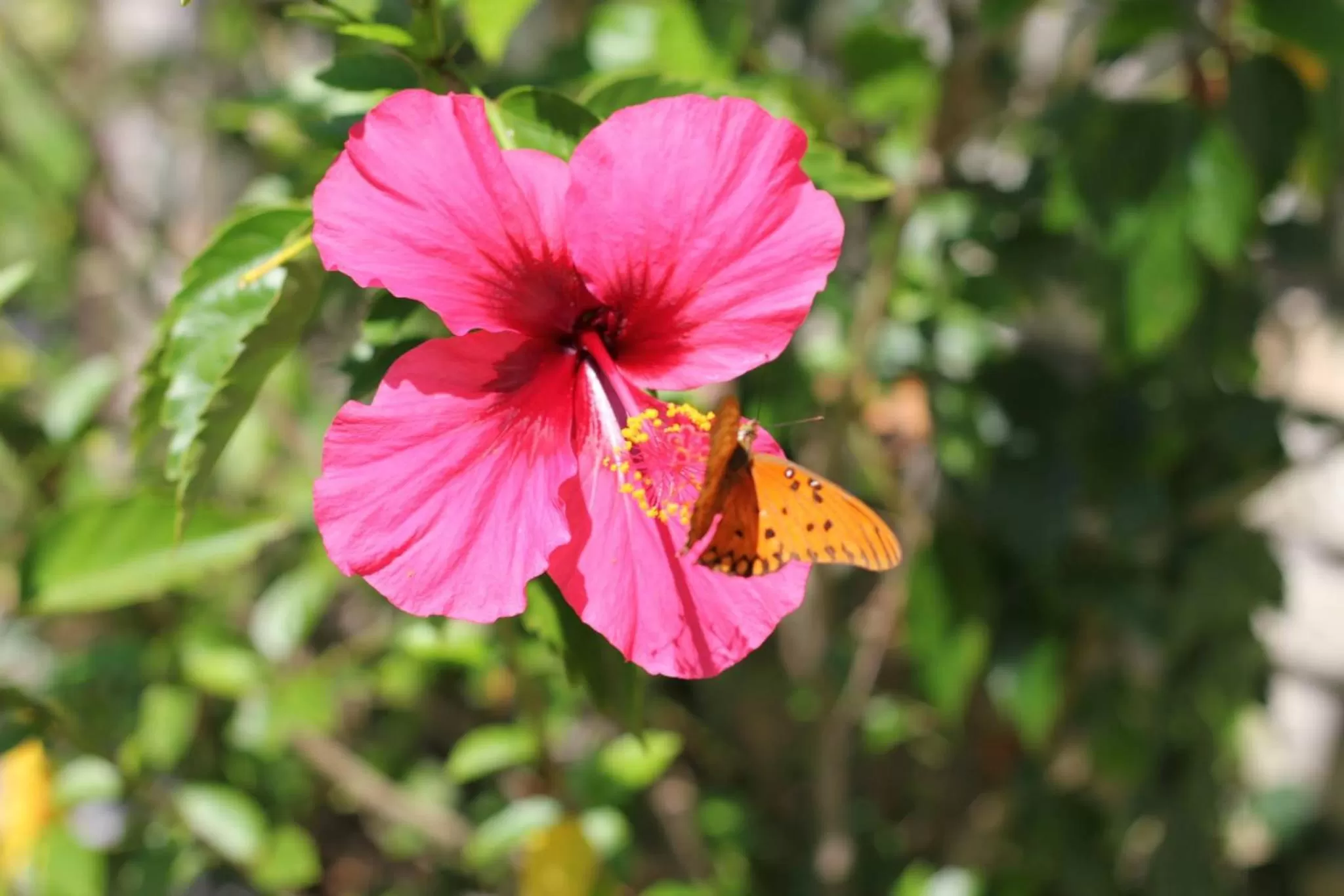 Property building in Pousada Vento Sul