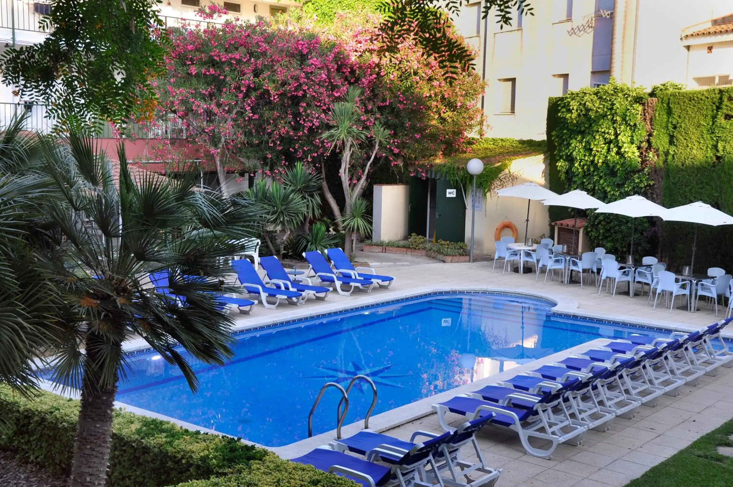 Swimming Pool in Hotel Yola