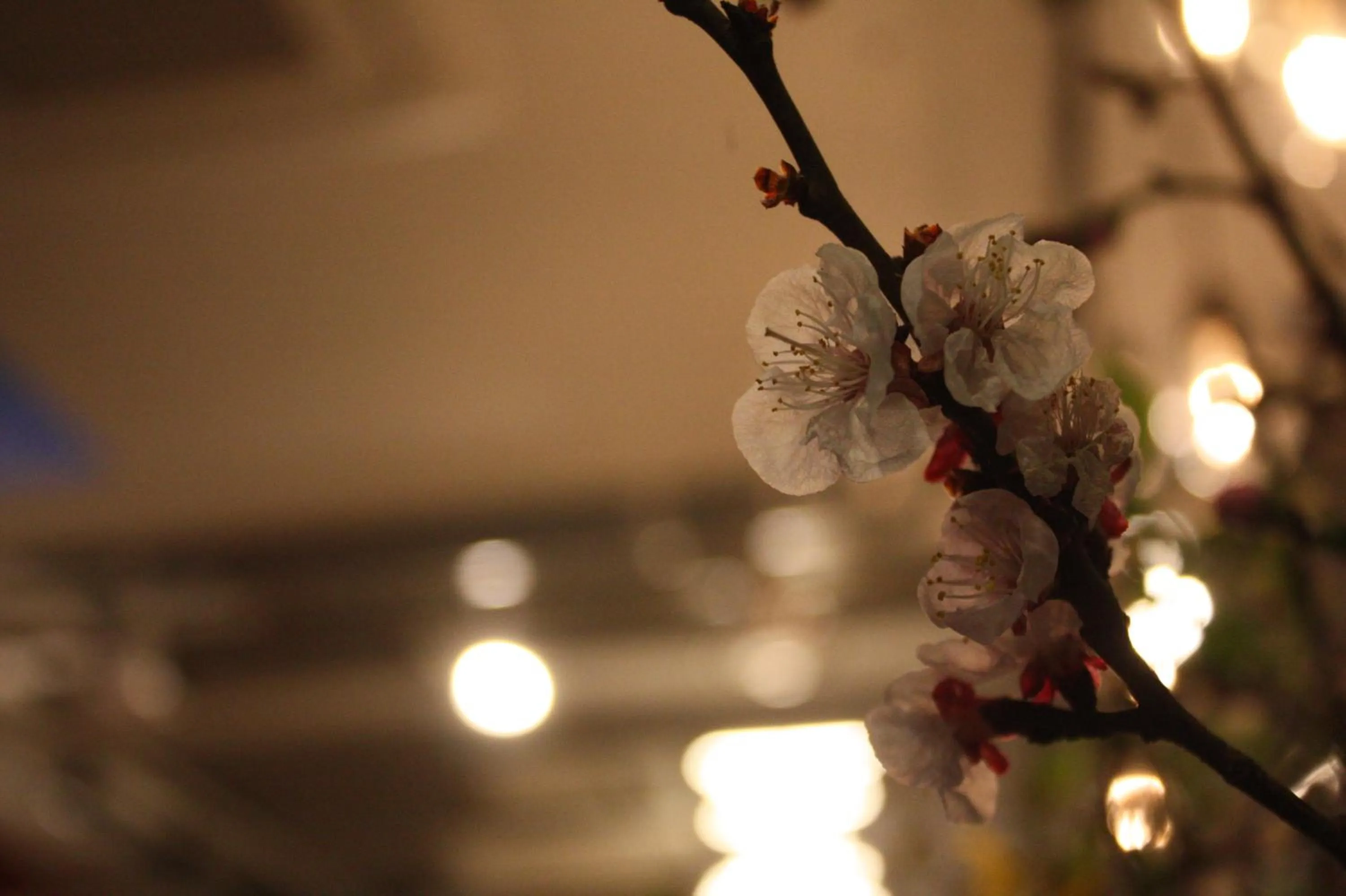 Property building in Andong Poong-gyung HOSTEL n LIBRARY