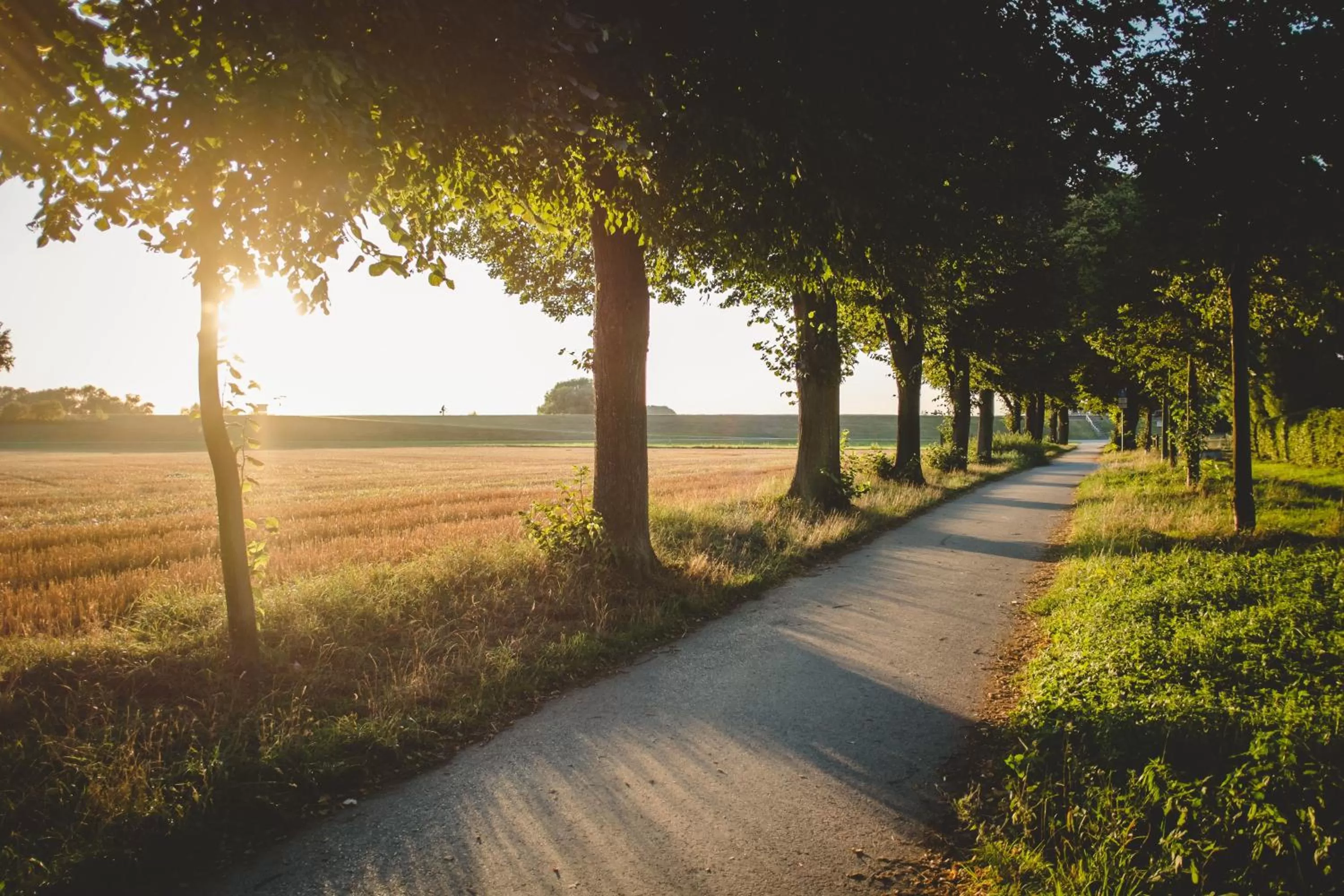 Area and facilities in Hotel & Restaurant Zum Vater Rhein