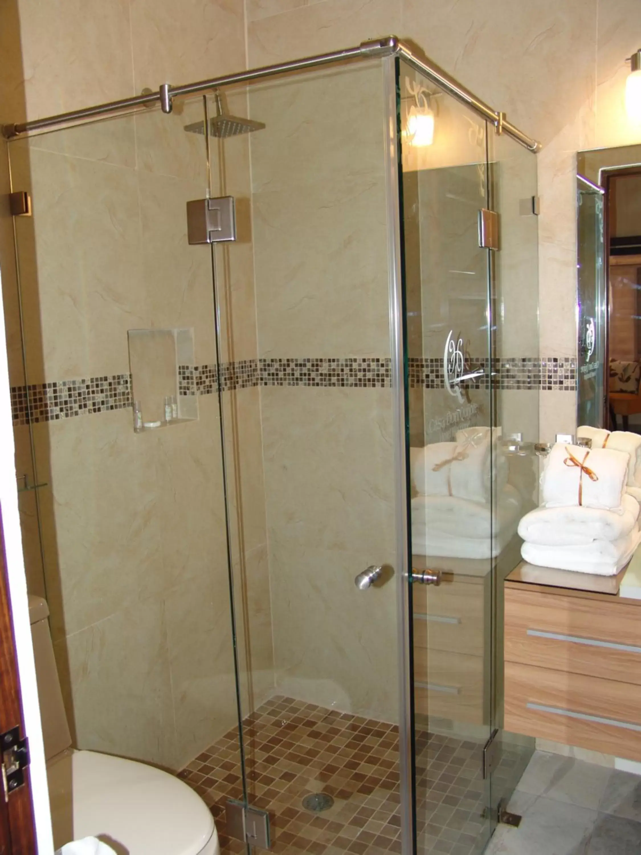 Shower, Bathroom in Hotel Casa Don Quijote