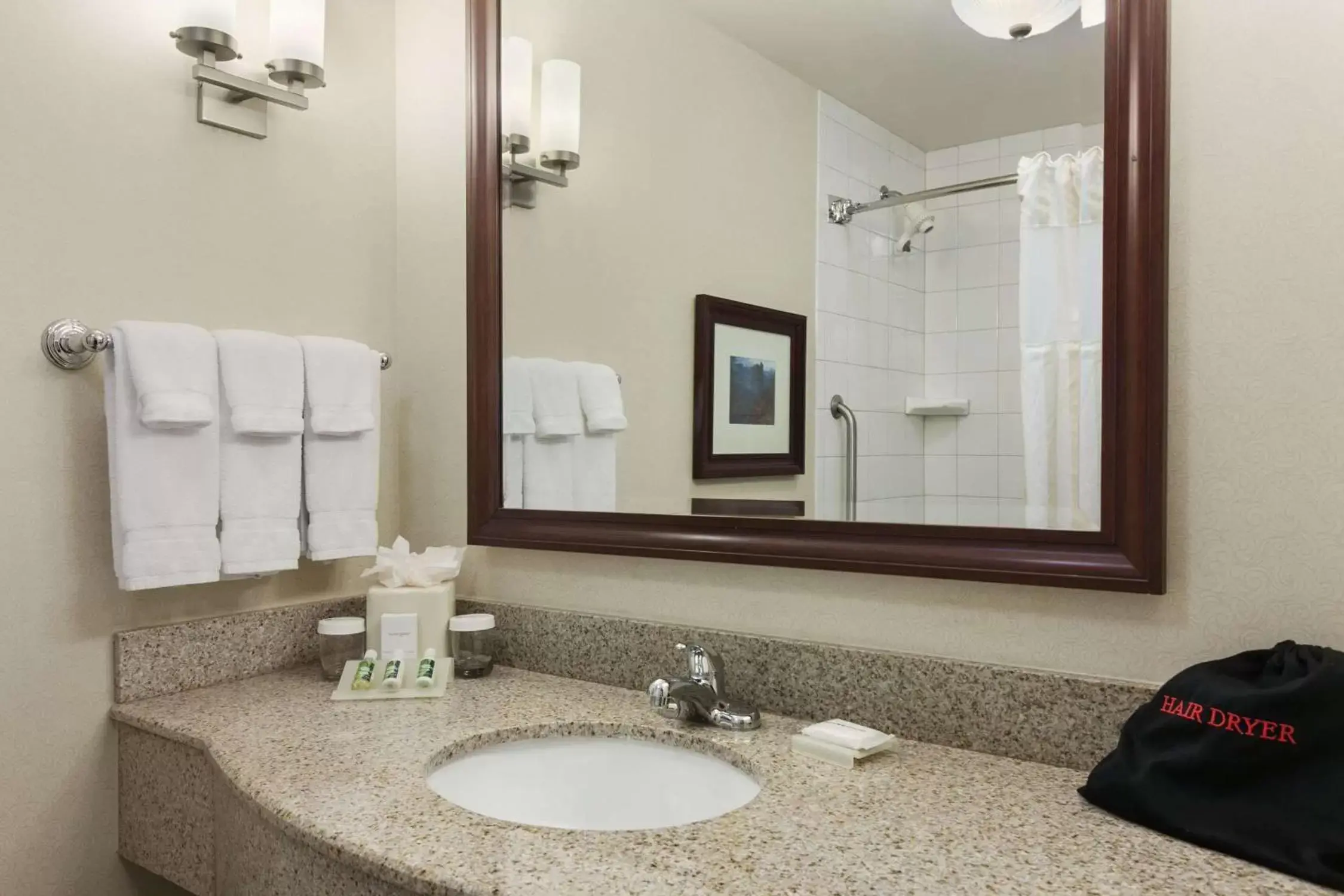 Bathroom in Hilton Garden Inn Wisconsin Dells