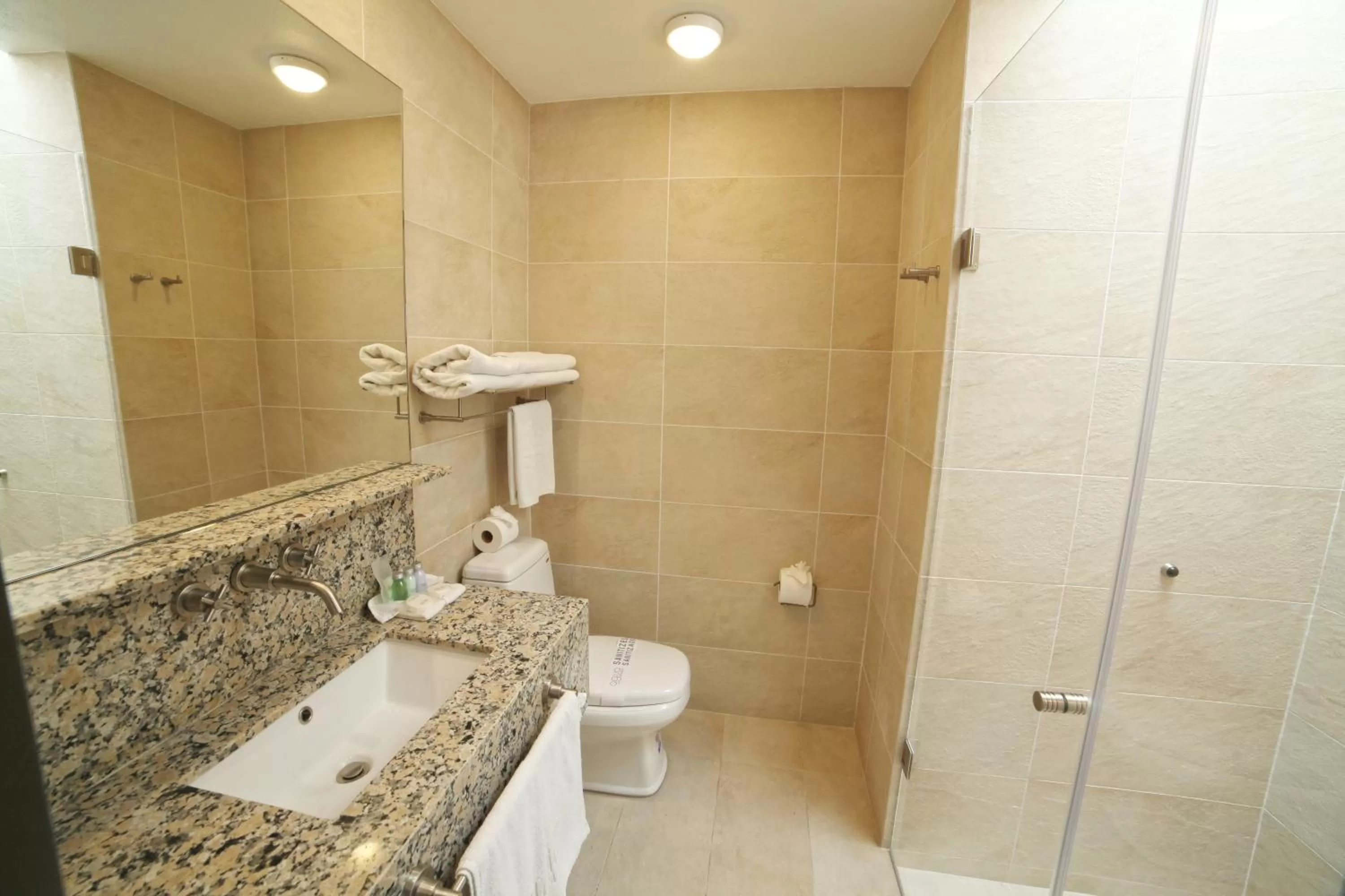 Bathroom in Hotel Flamingo Inn