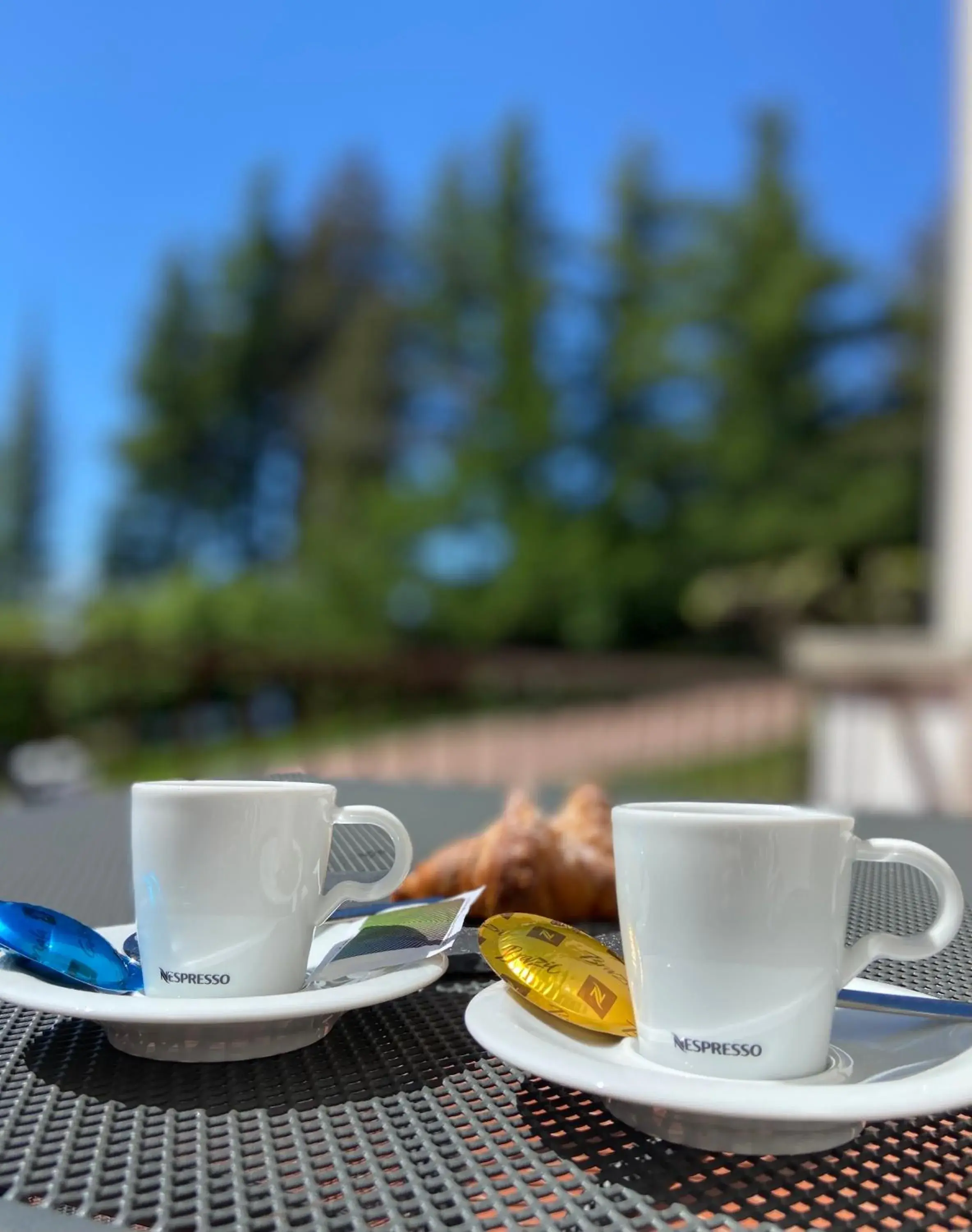 Balcony/Terrace in Hotel Paradiso Como