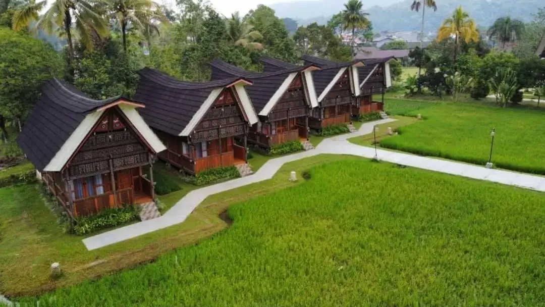 Bird's-eye View in Toraja Misiliana Hotel