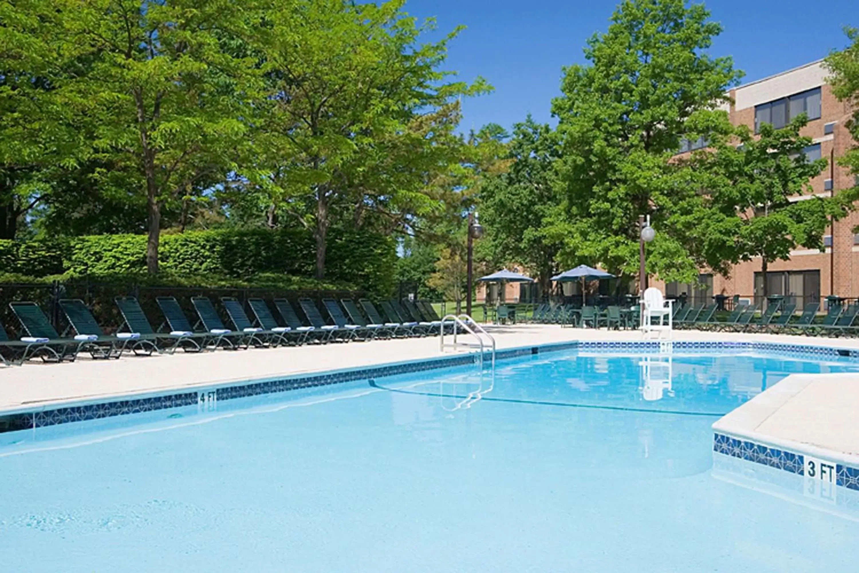Pool view, Swimming Pool in Hilton Woodcliff Lake