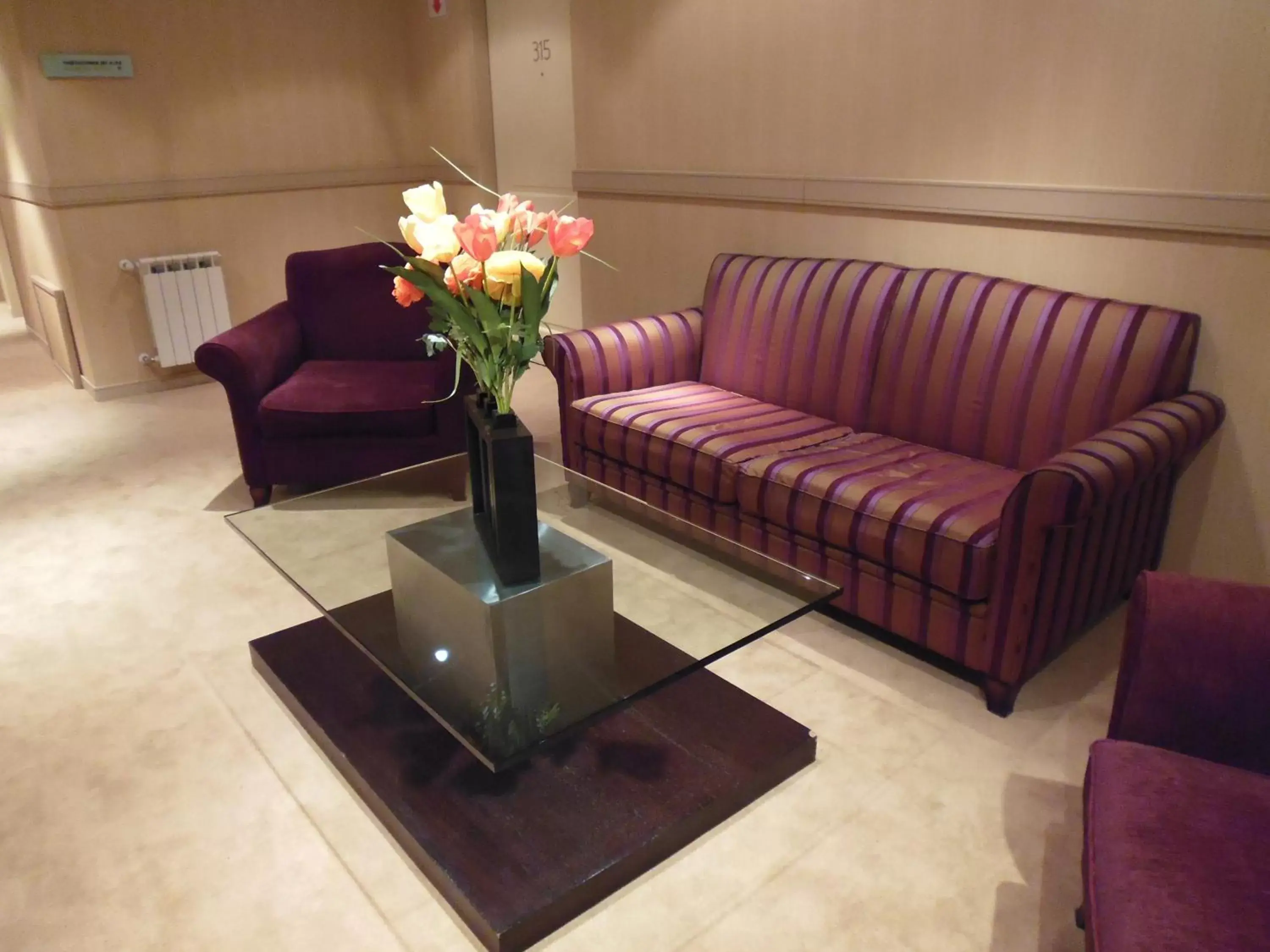 Lobby or reception, Seating Area in Fueguino Hotel