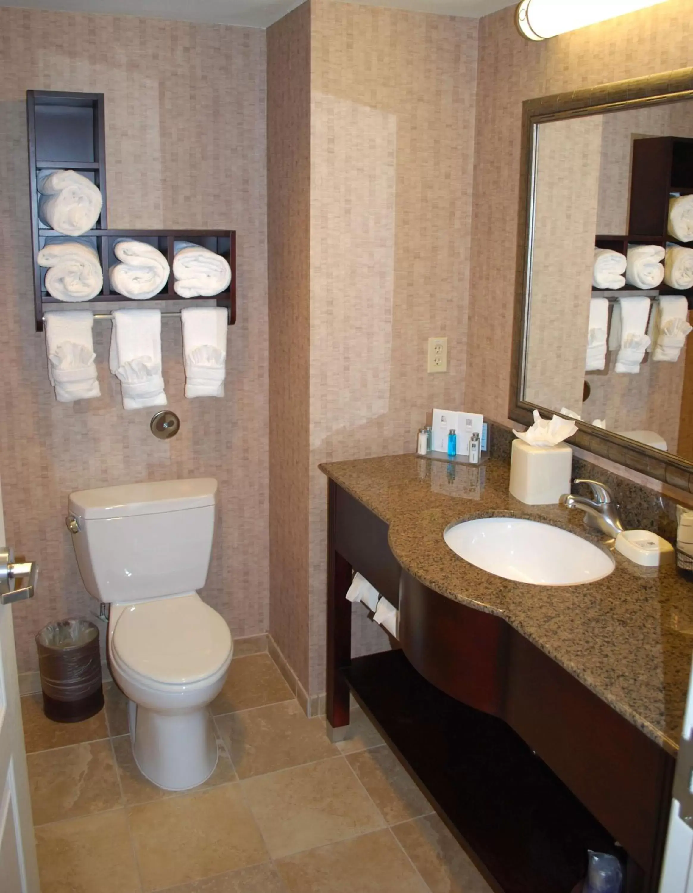 Bathroom in Hampton Inn & Suites Phoenix/Gilbert
