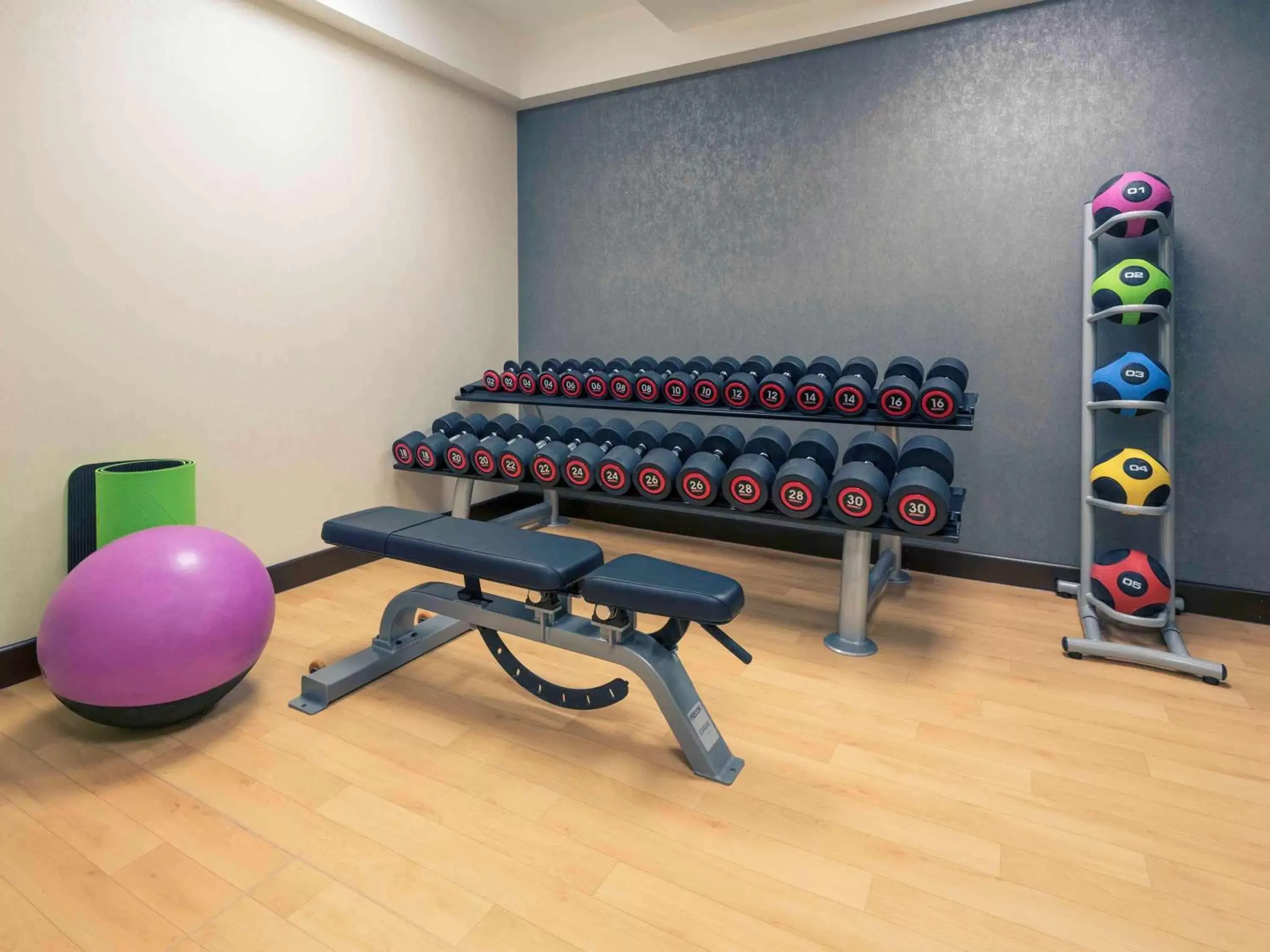 Fitness centre/facilities, Fitness Center/Facilities in Mercure Edinburgh Haymarket