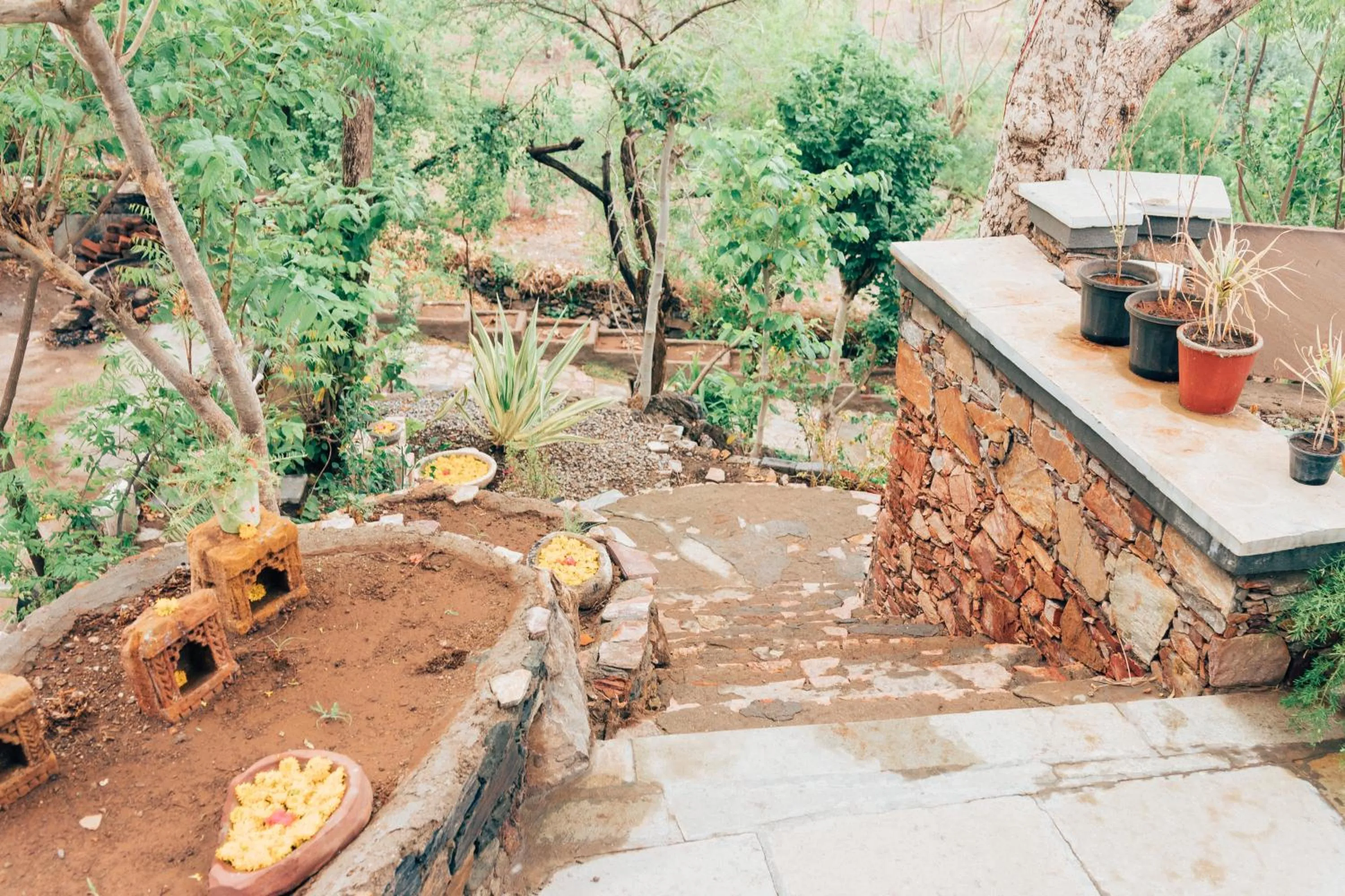 Garden in Devra Udaipur