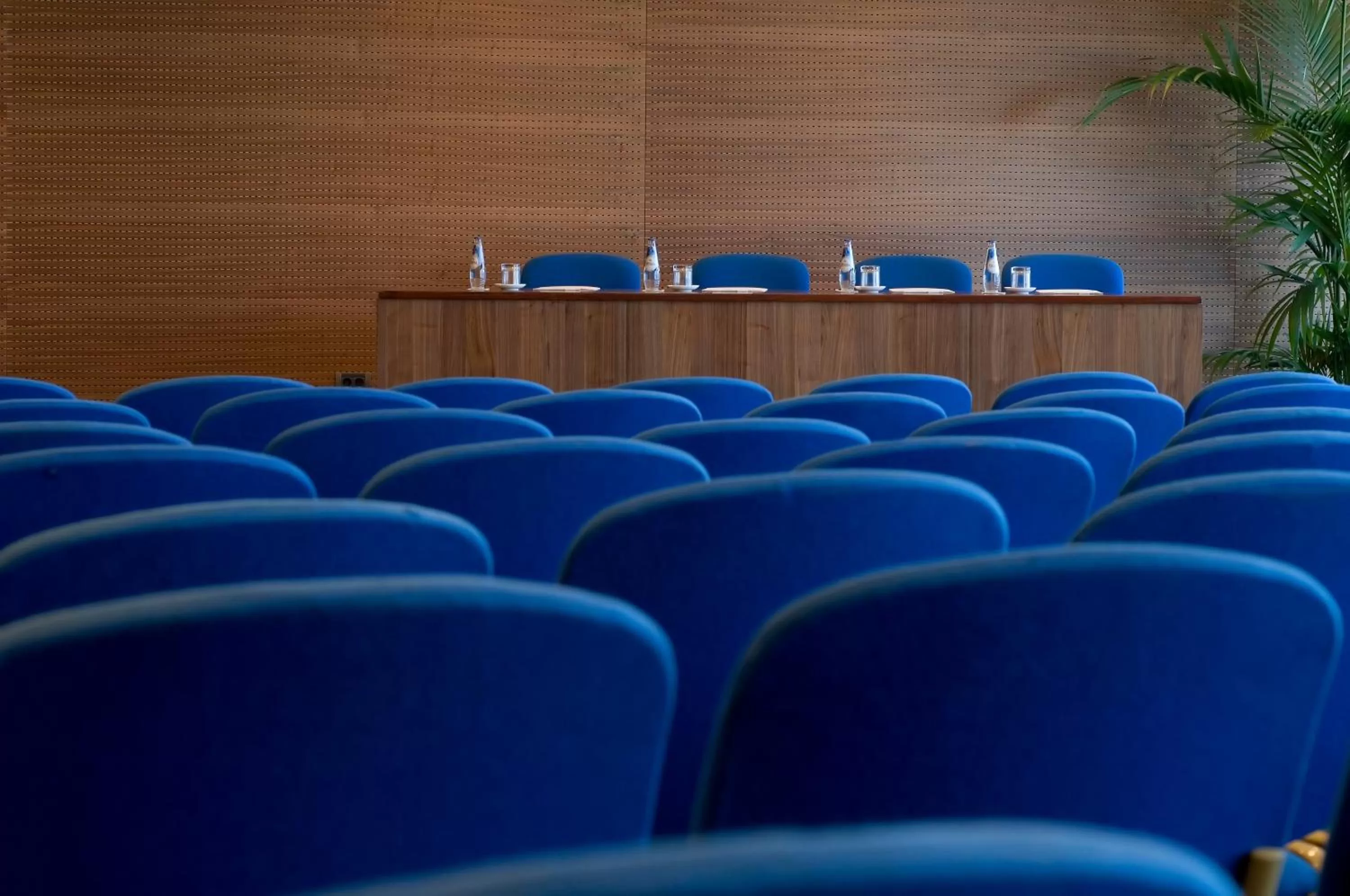 Business facilities in Hotel Excelsior