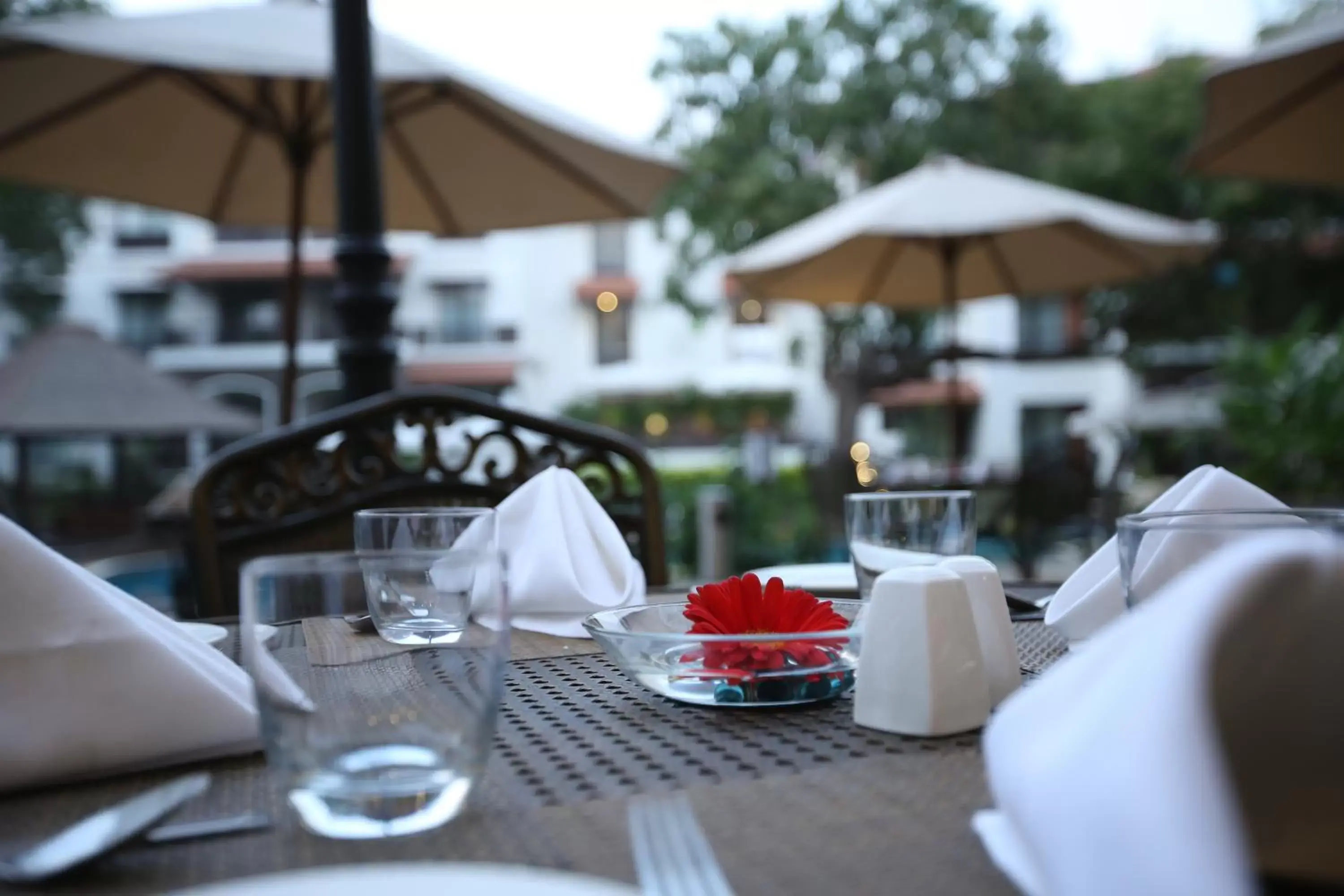 Restaurant/places to eat in Rhythm Lonavala - An All Suite Resort Restaurant/places to eat in Rhythm Lonavala - An All Suite Resort