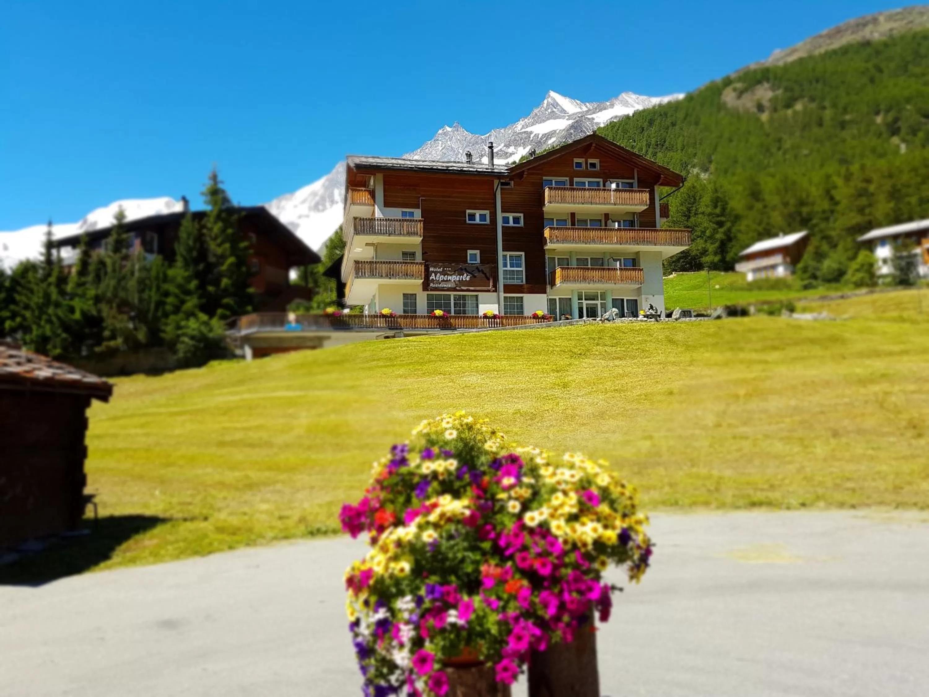 Facade/entrance, Garden in Hotel Alpenperle