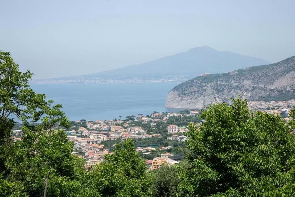 B&b L' Arancio in fiore