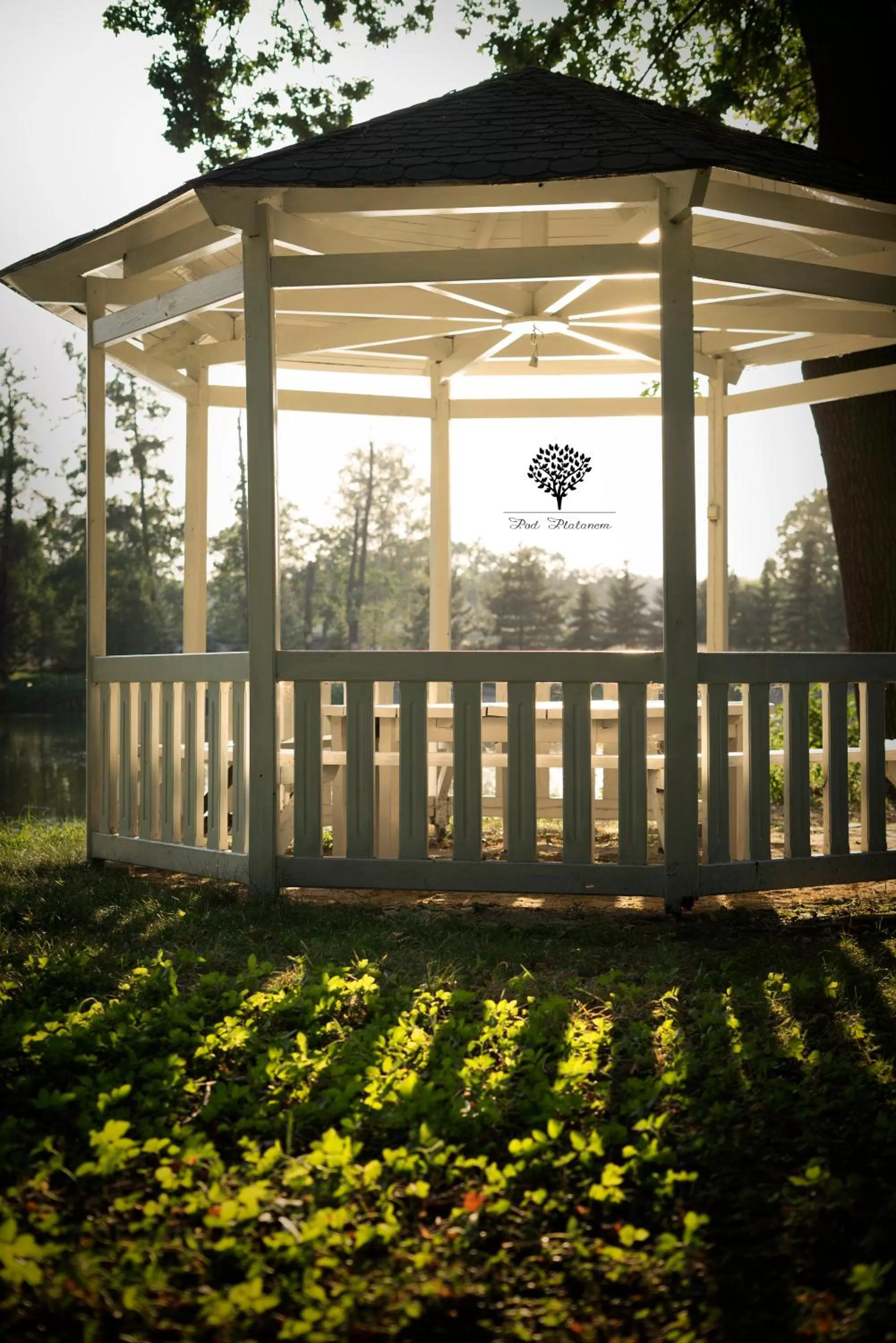 Pod Platanem Gliwice