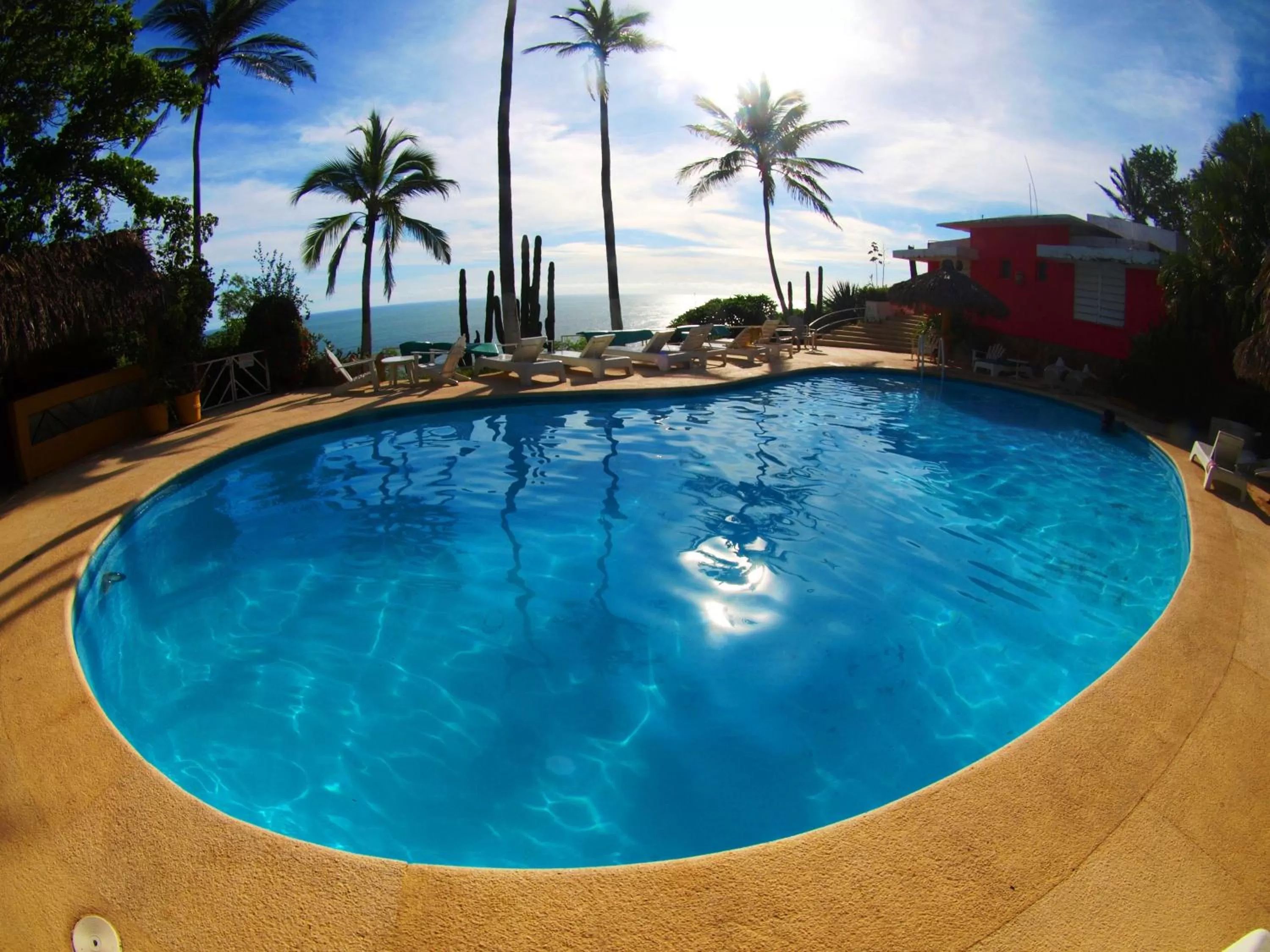 Swimming pool in Hotel Flamingos