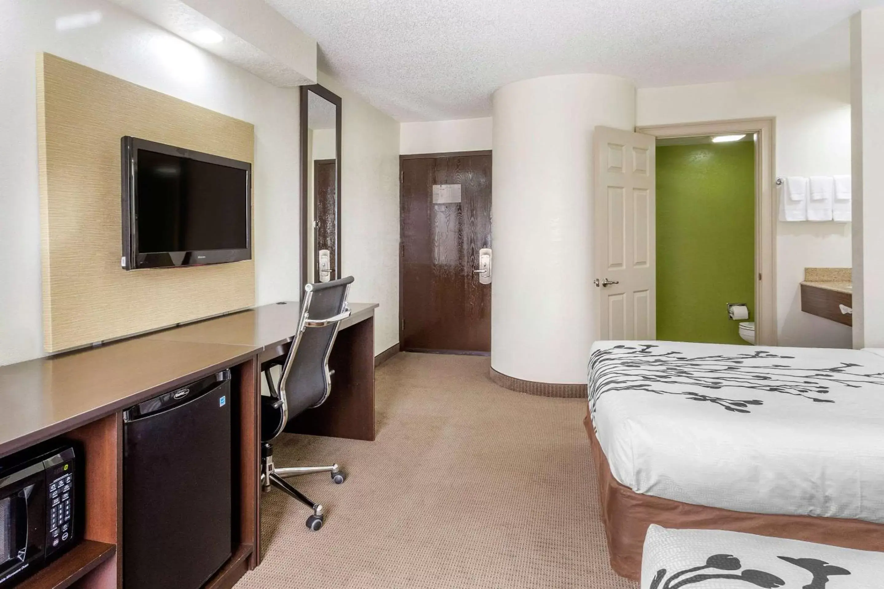 Photo of the whole room, TV/Entertainment Center in Sleep Inn near Busch Gardens - USF