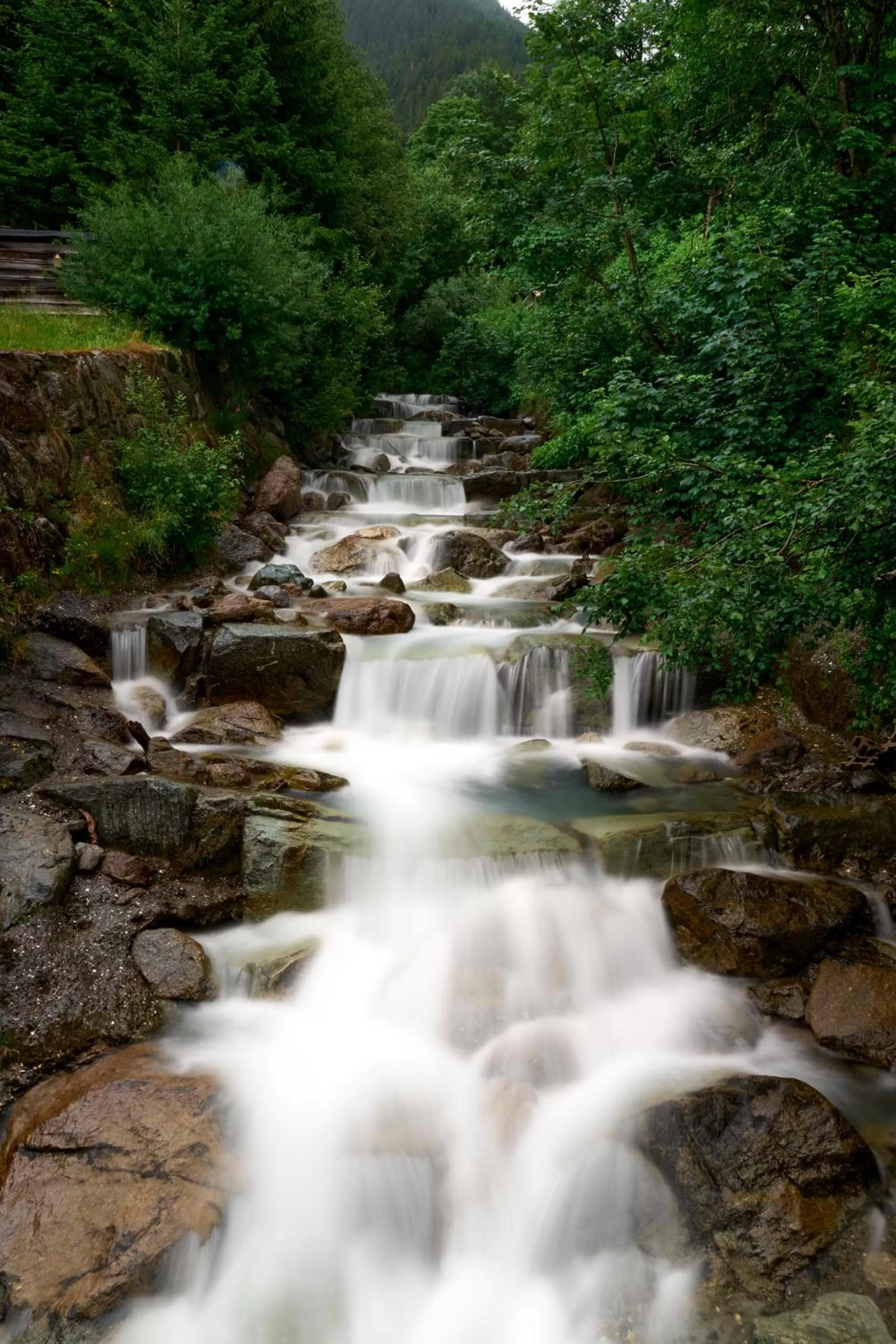 Natural landscape in Madrisa Lodge