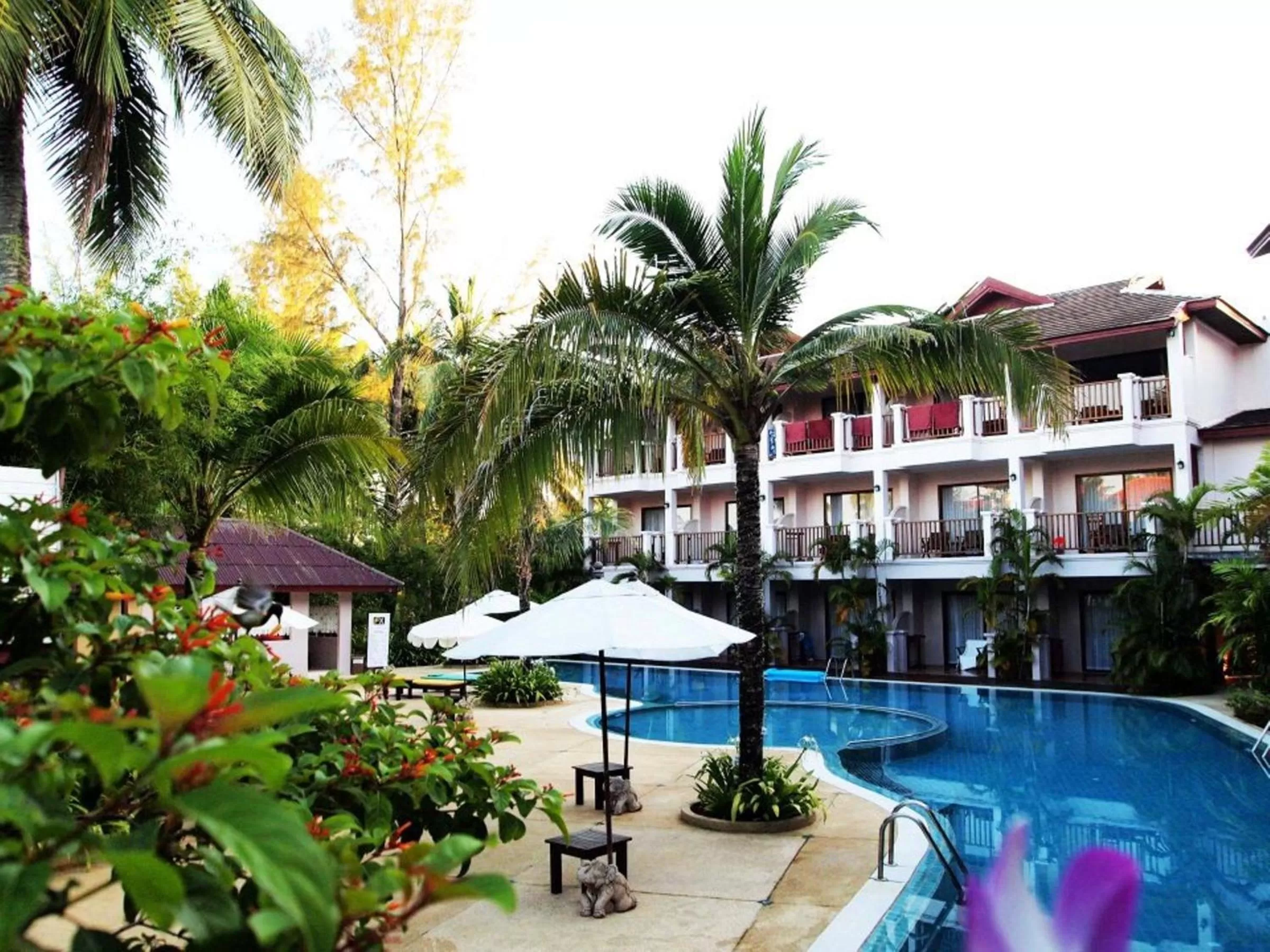 Swimming pool in Fanari Khaolak Resort - Courtyard SHA Extra Plus