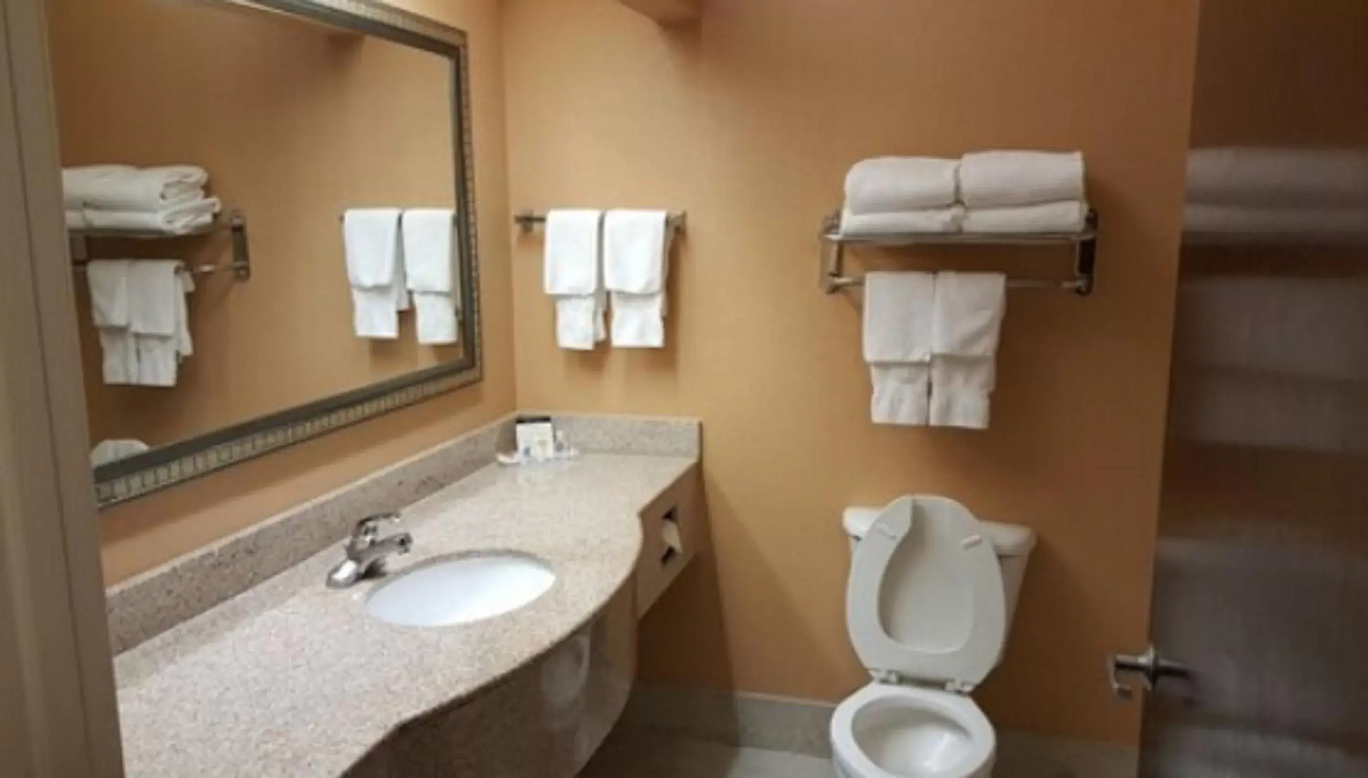 Bathroom in Comfort Suites Mobile East Bay